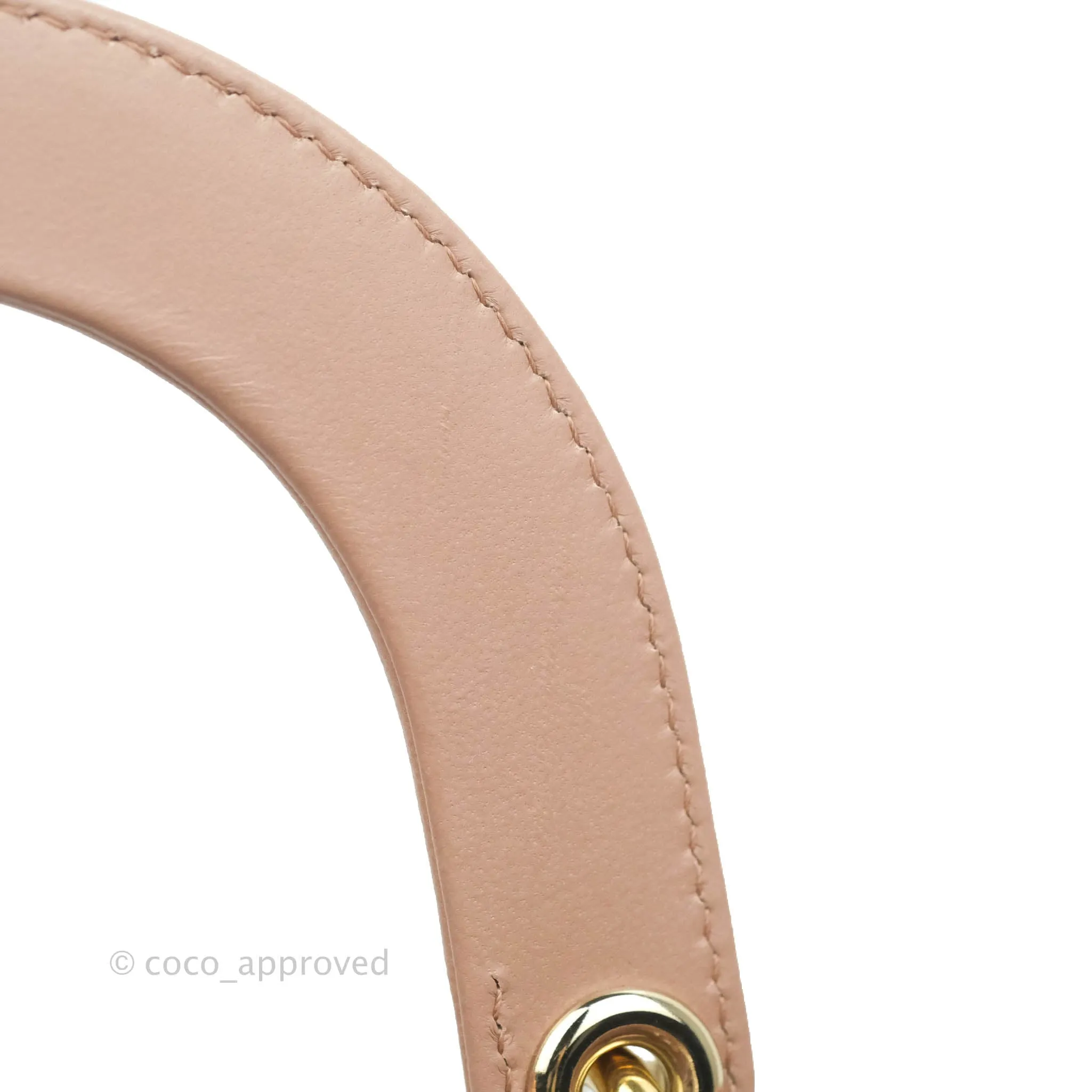 Christian Dior My ABCDior Lady Dior Fard Blush Lambskin Gold Hardware