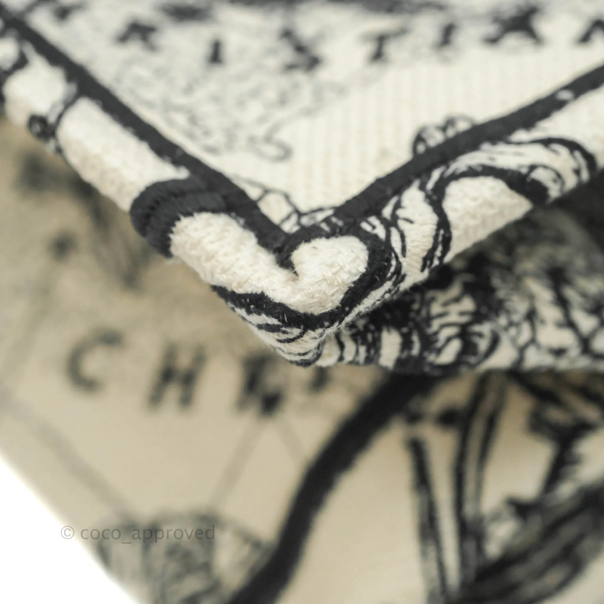 Christian Dior New Small Latte Dior Zodiac Embroidery Canvas Book Tote
