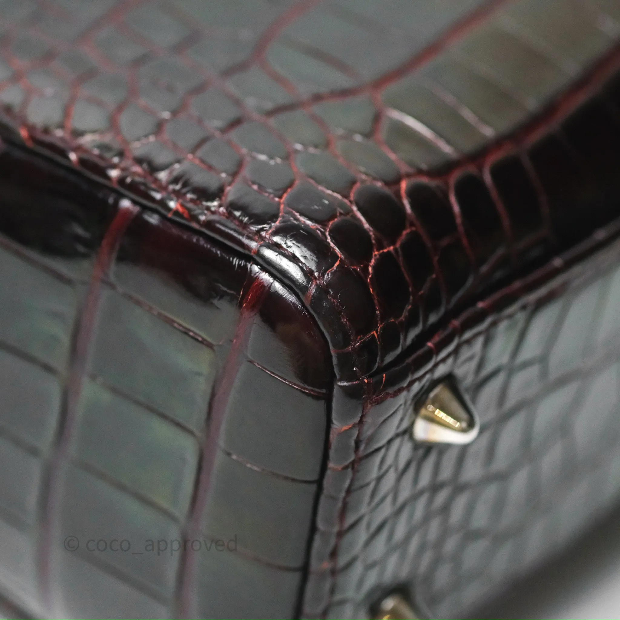 Christian Dior Small Lady Dior Shiny Crocodile Burgundy Diamond Hardware