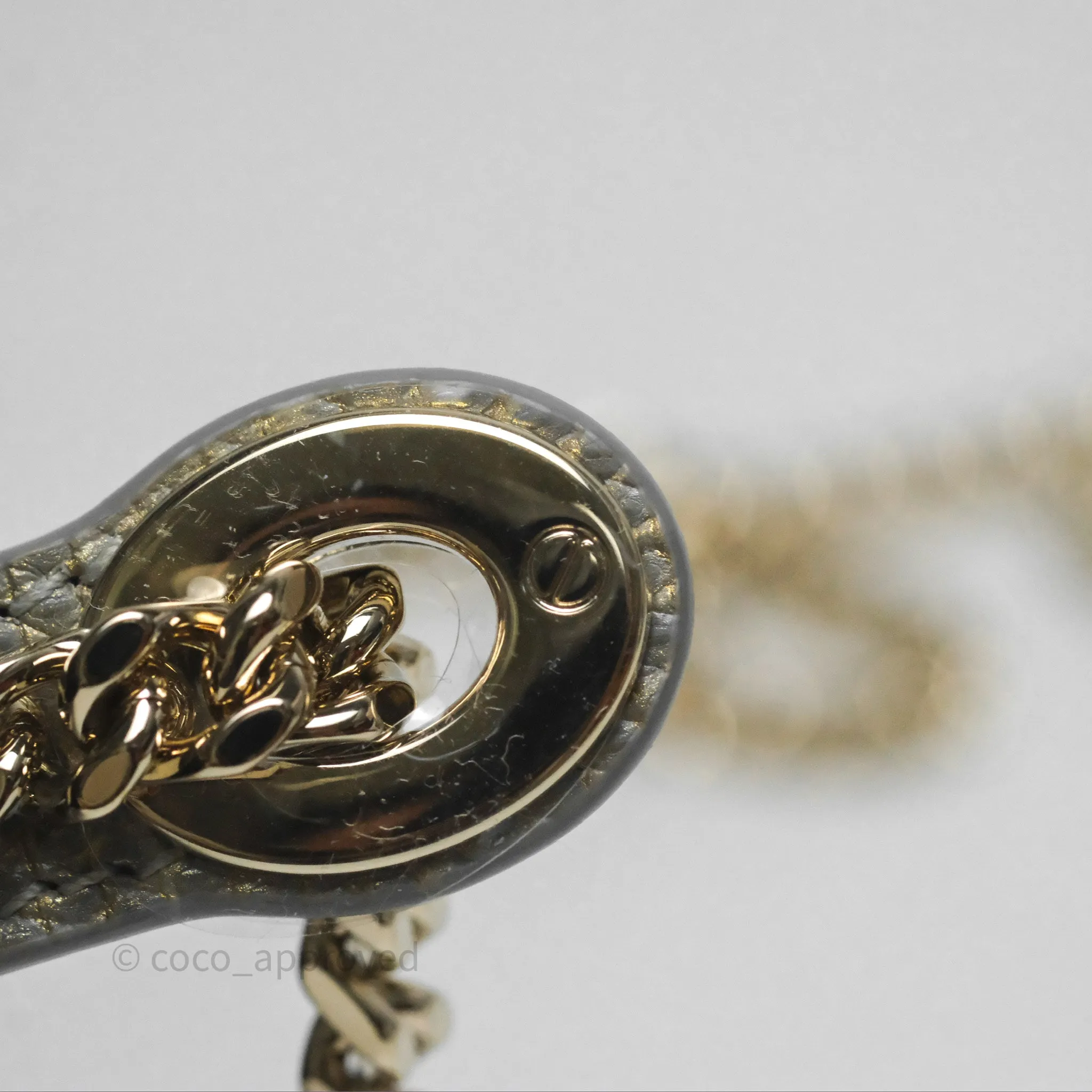 Dior Mini Lady Dior Ombre Grey White Lizard Gold Hardware