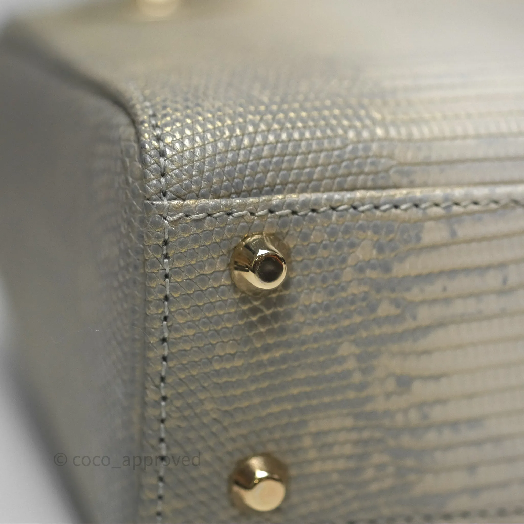 Dior Mini Lady Dior Ombre Grey White Lizard Gold Hardware