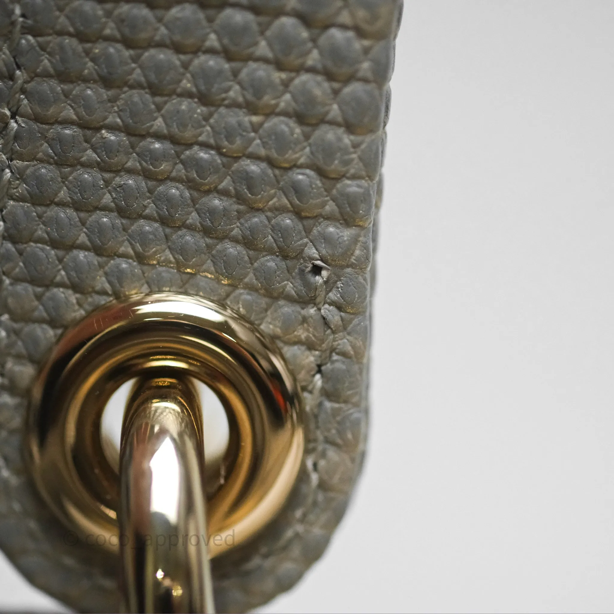 Dior Mini Lady Dior Ombre Grey White Lizard Gold Hardware