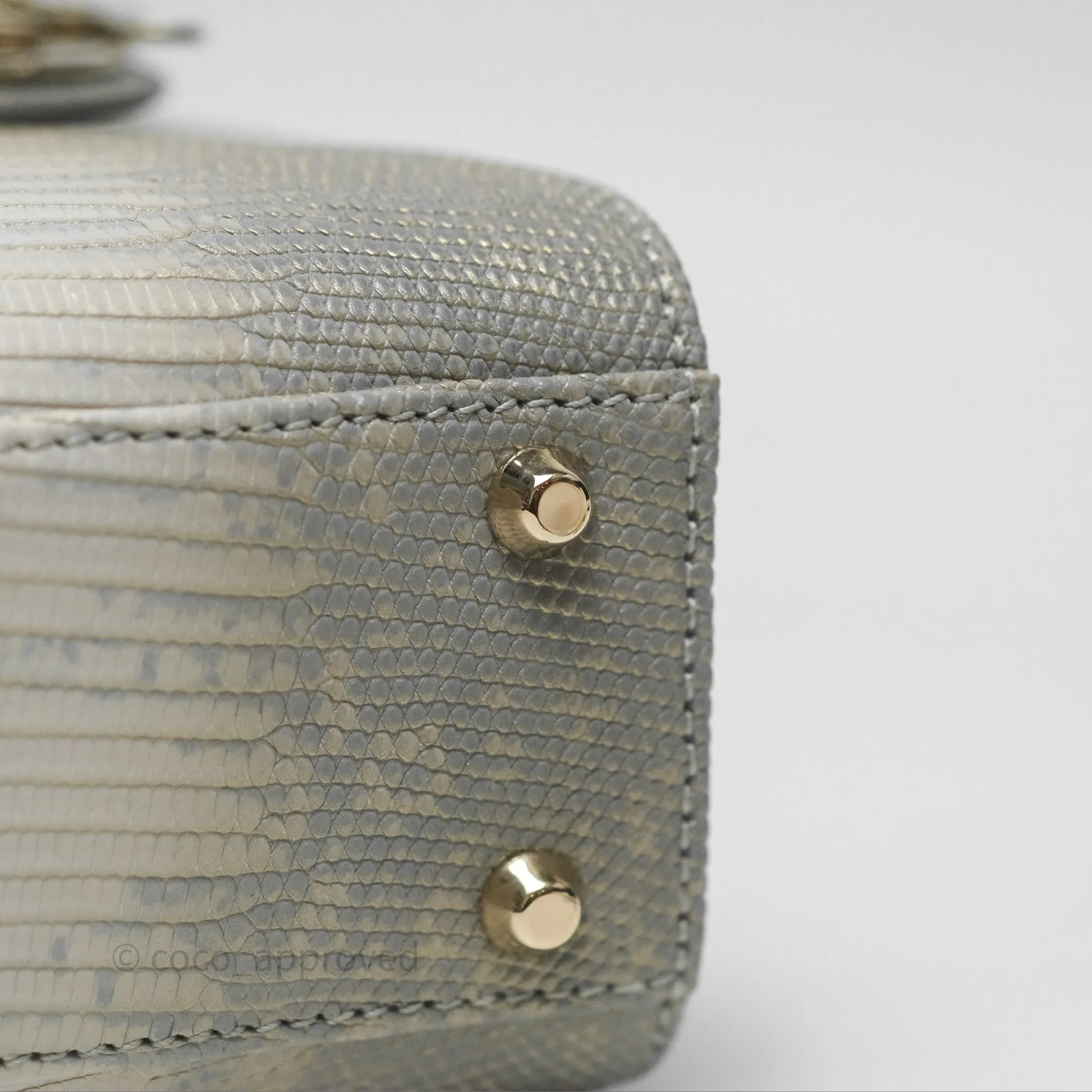 Dior Mini Lady Dior Ombre Grey White Lizard Gold Hardware