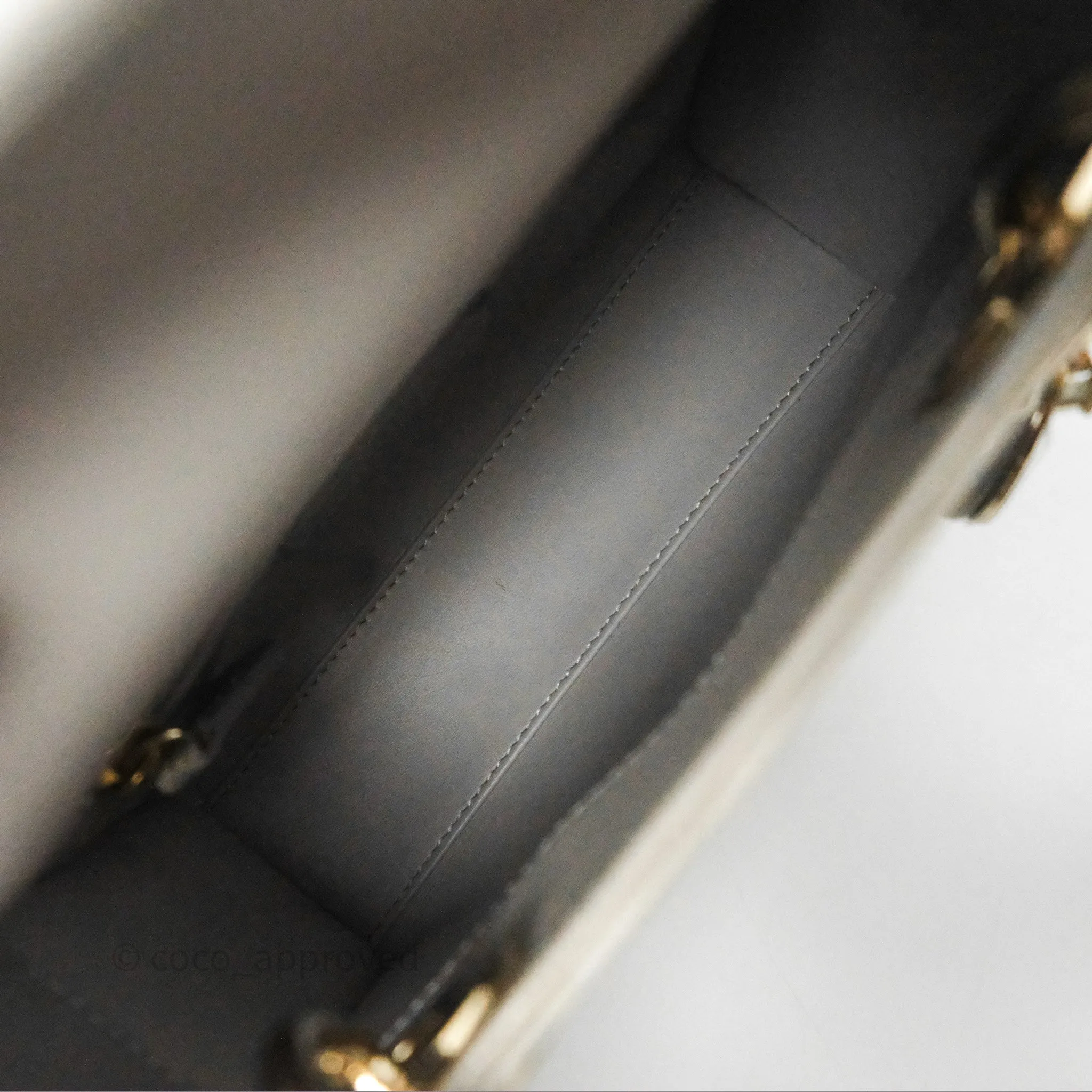 Dior Mini Lady Dior Ombre Grey White Lizard Gold Hardware