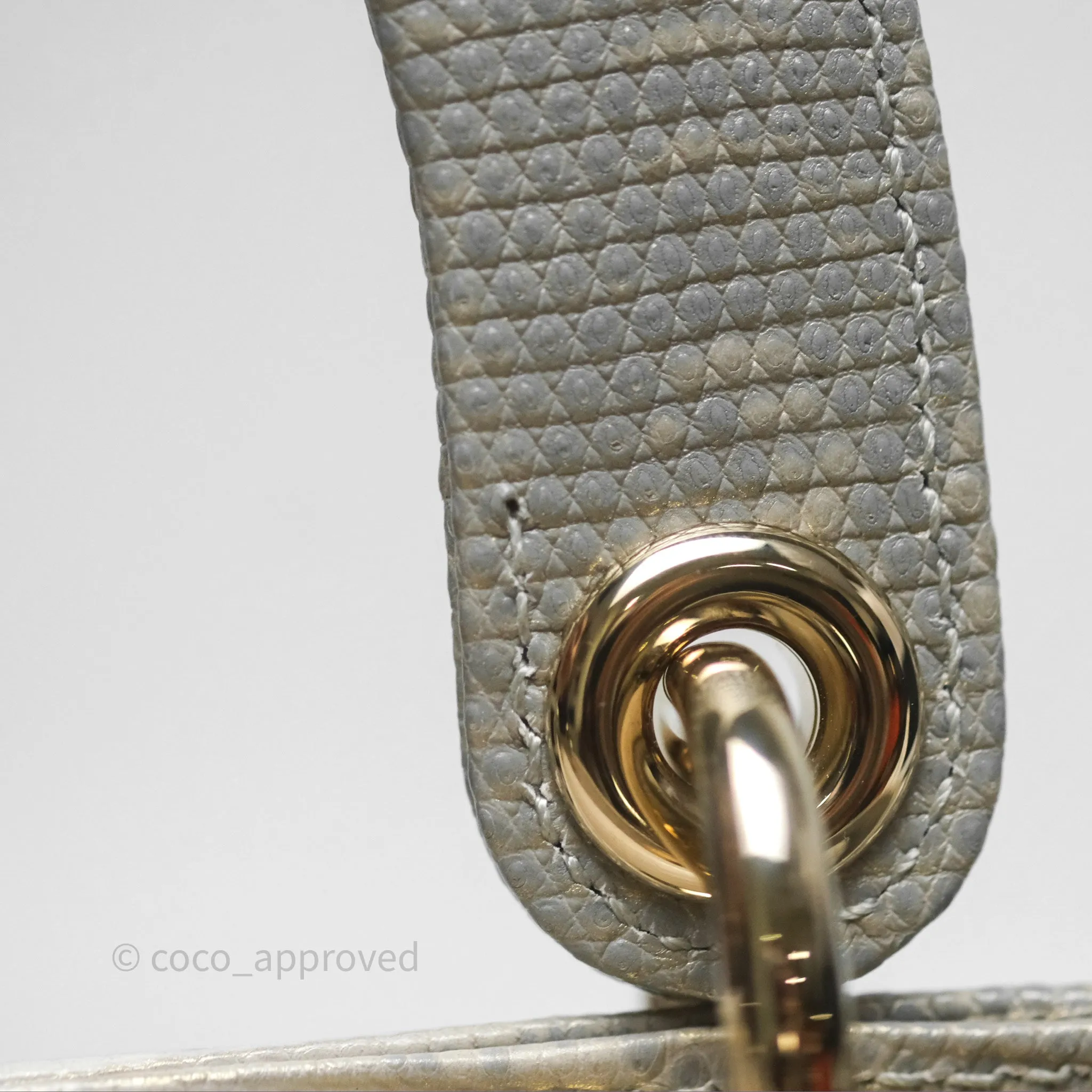 Dior Mini Lady Dior Ombre Grey White Lizard Gold Hardware