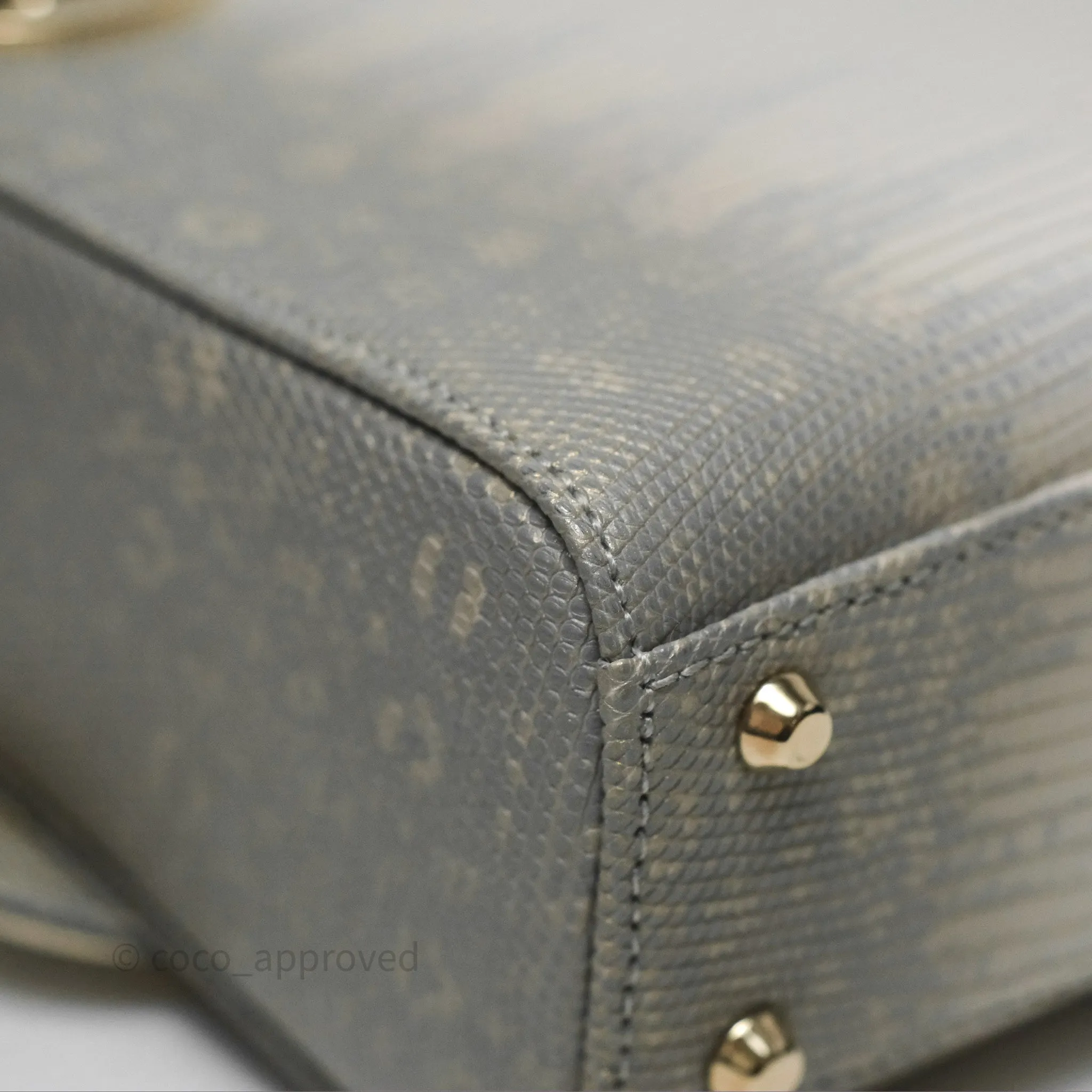 Dior Mini Lady Dior Ombre Grey White Lizard Gold Hardware