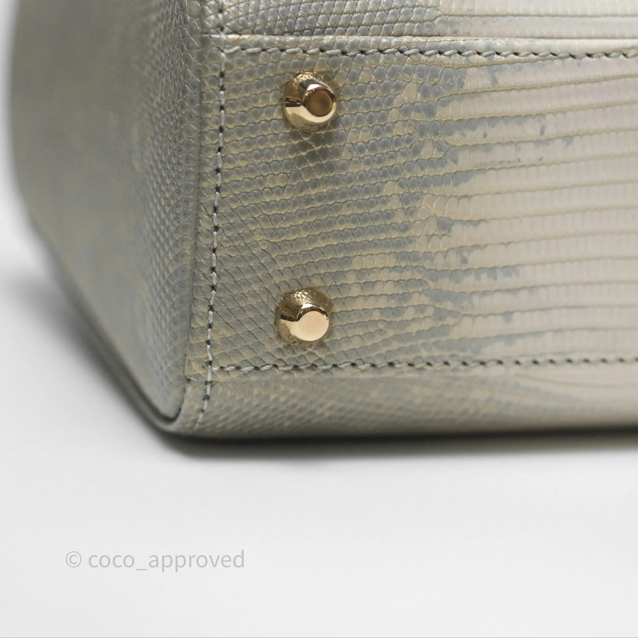 Dior Mini Lady Dior Ombre Grey White Lizard Gold Hardware