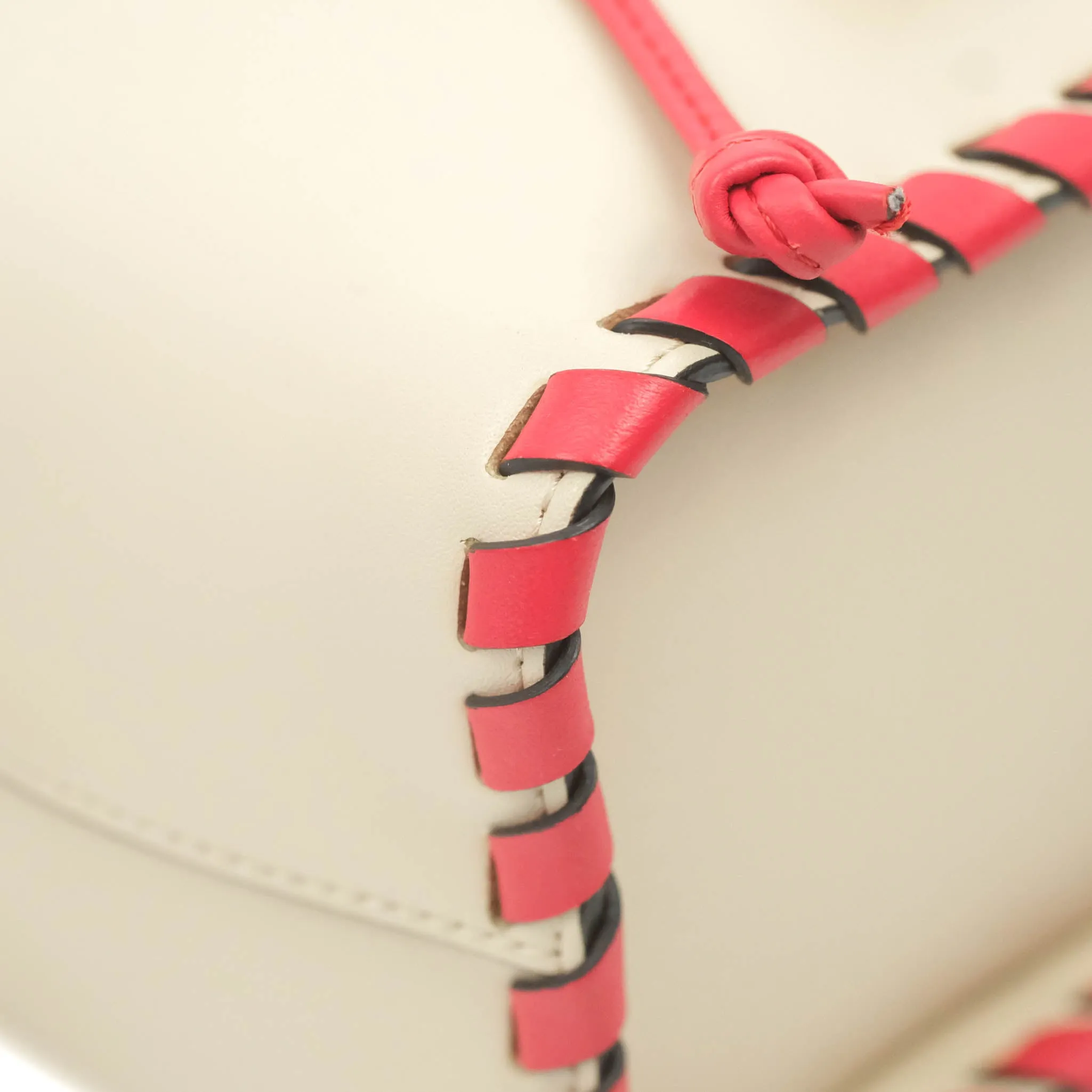 Fendi Calfskin Whipstitch F is Fendi Mini Mon Tresor Bucket Bag Camelia Fiamma