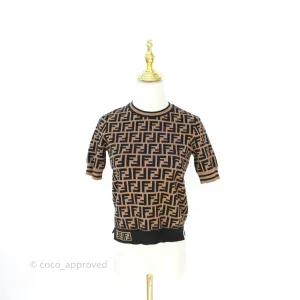 Fendi Fabric FF Motifi Jumper Brown and Black
