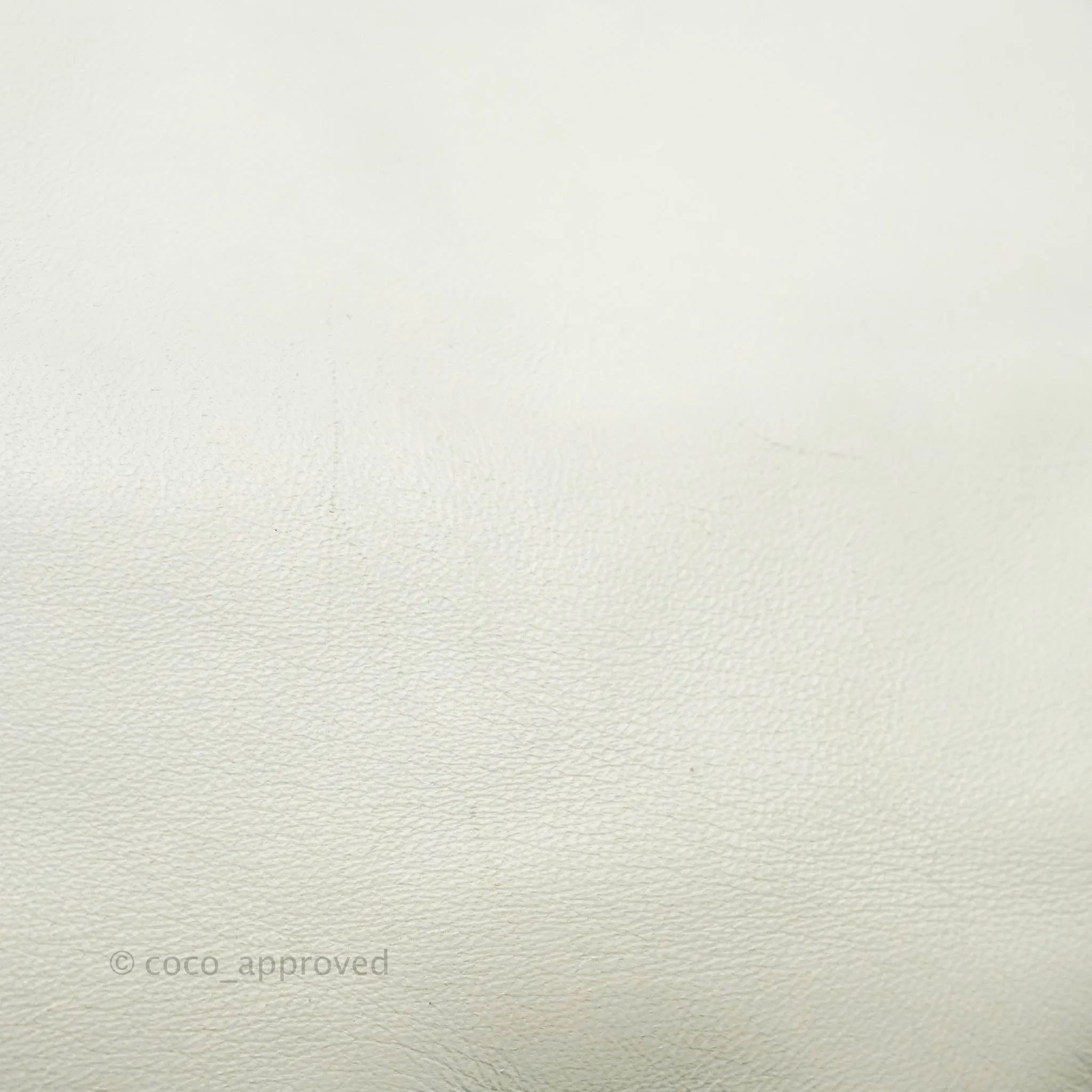 Fendi Medium Baguette Bag White Calfskin Gold Hardware
