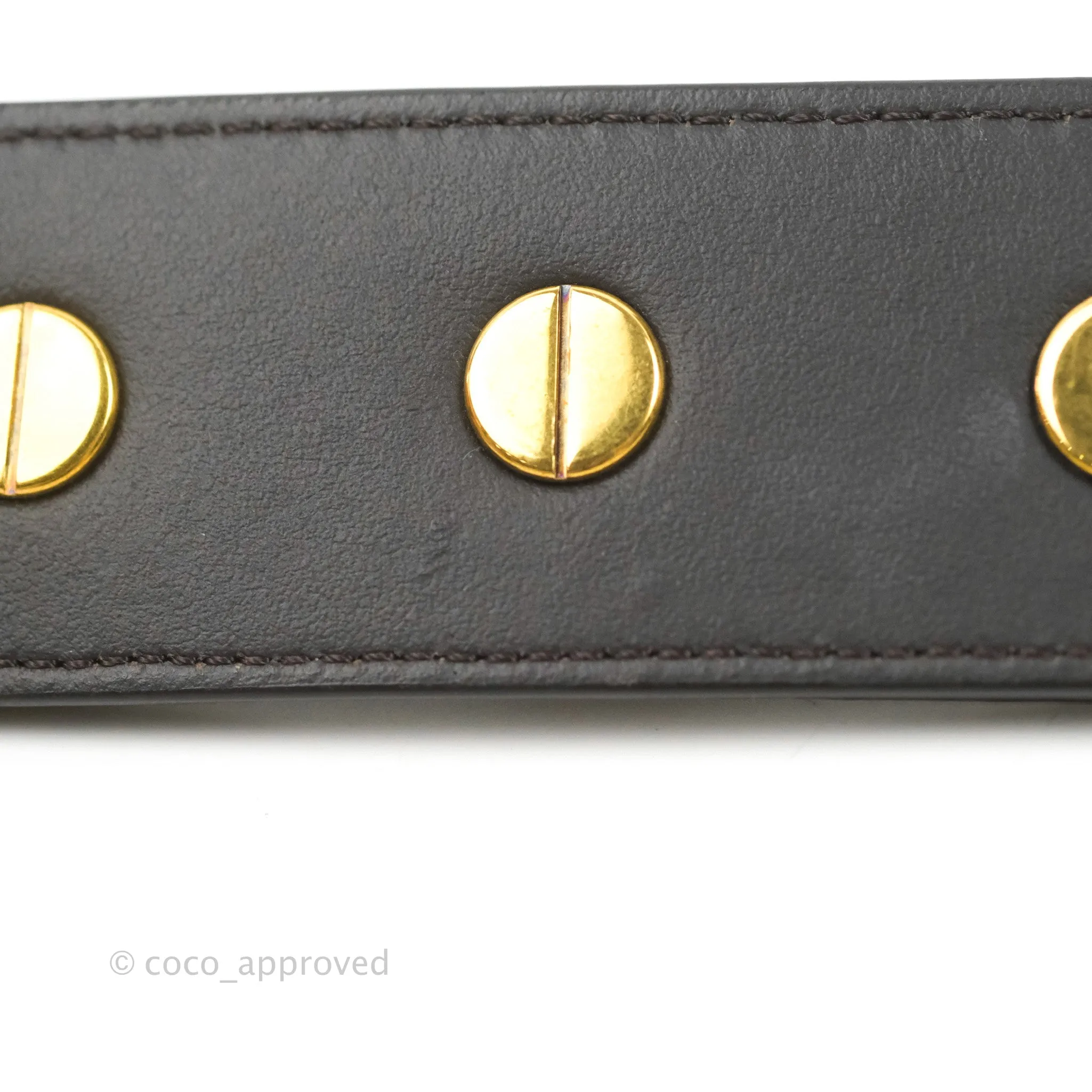 Fendi Mini Mon Tresor Bucket Bag FF Motif Brown