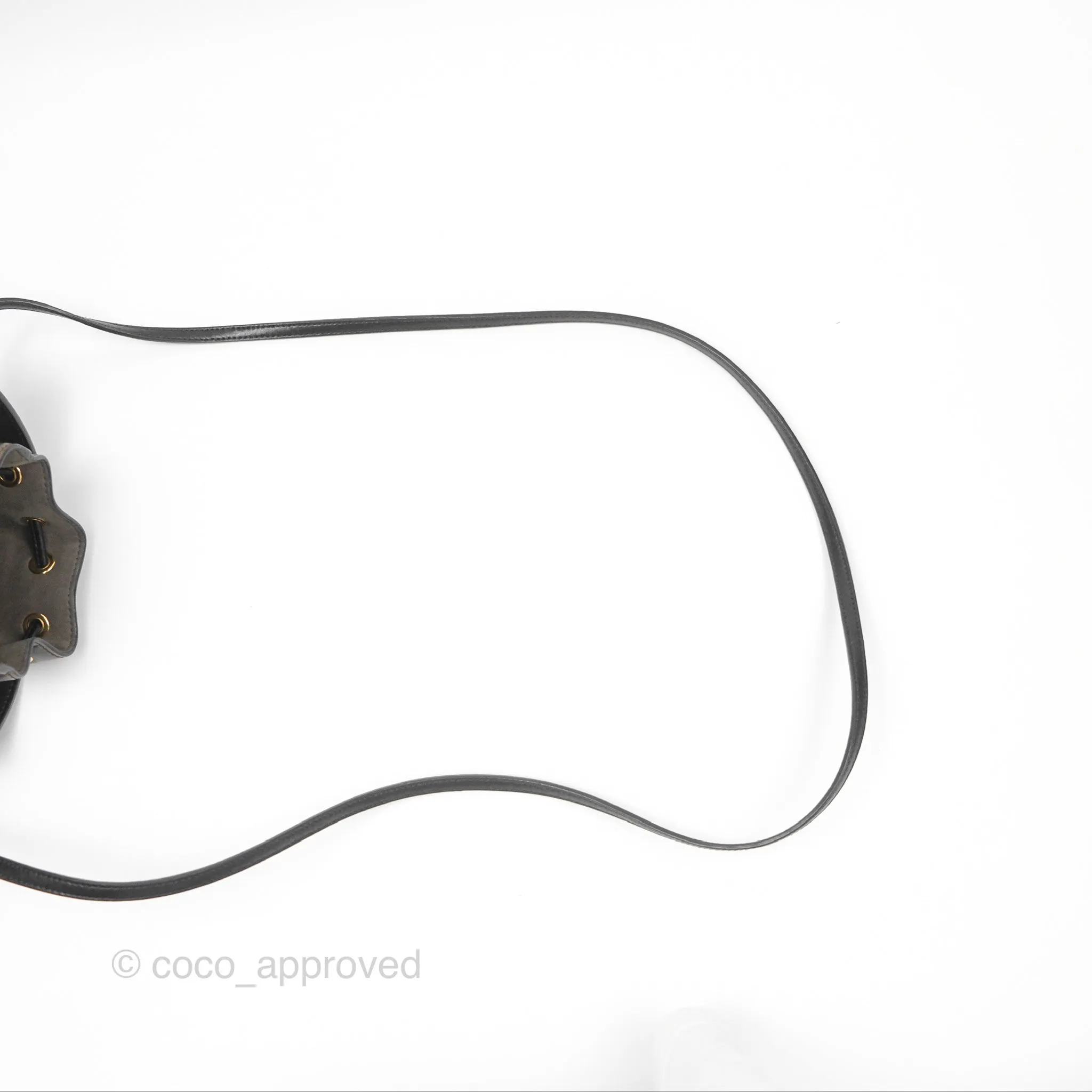 Fendi Mini Mon Tresor Bucket Bag FF Motif Brown