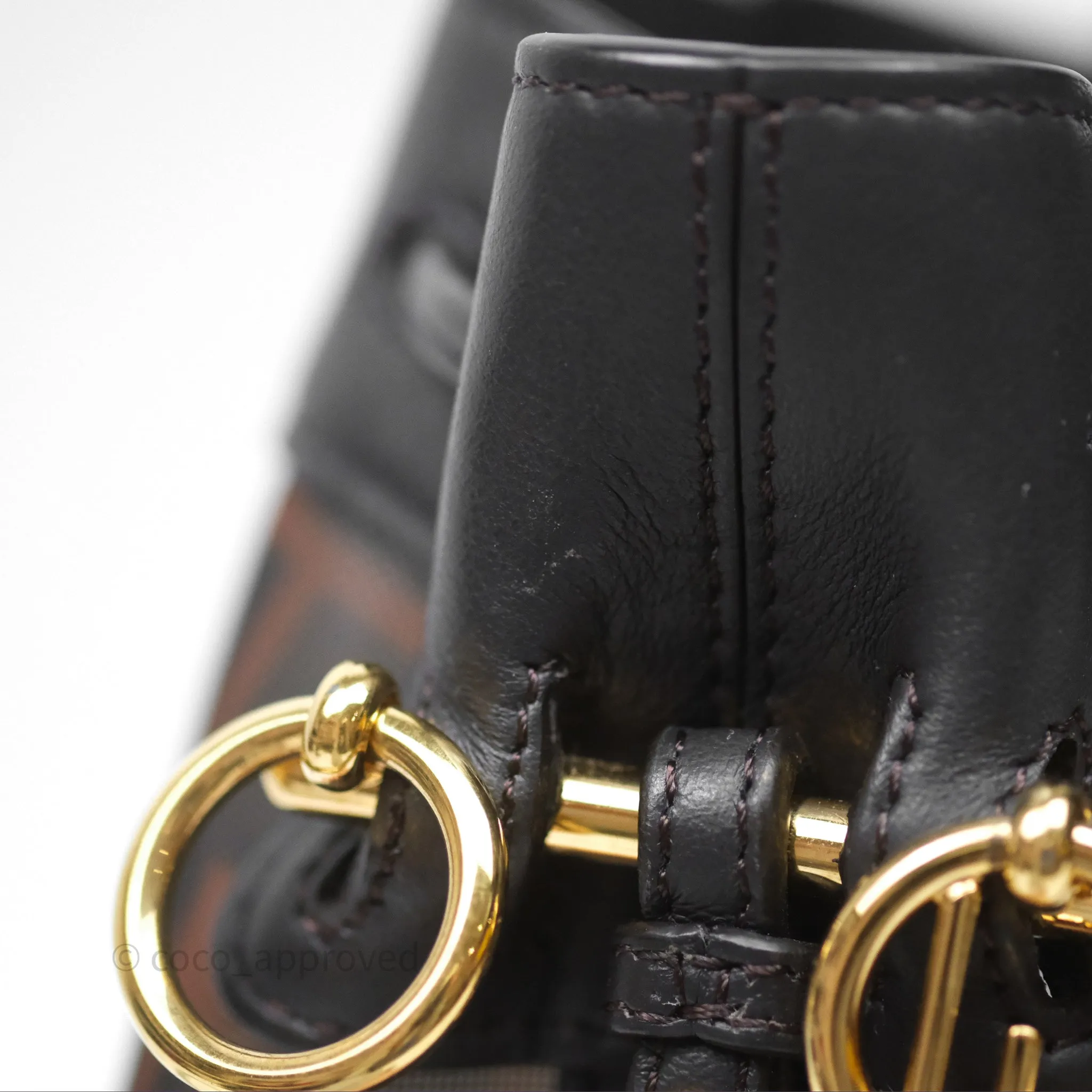 Fendi Mini Mon Tresor Bucket Bag Zucca See Through Mesh Brown/Black/Ebony