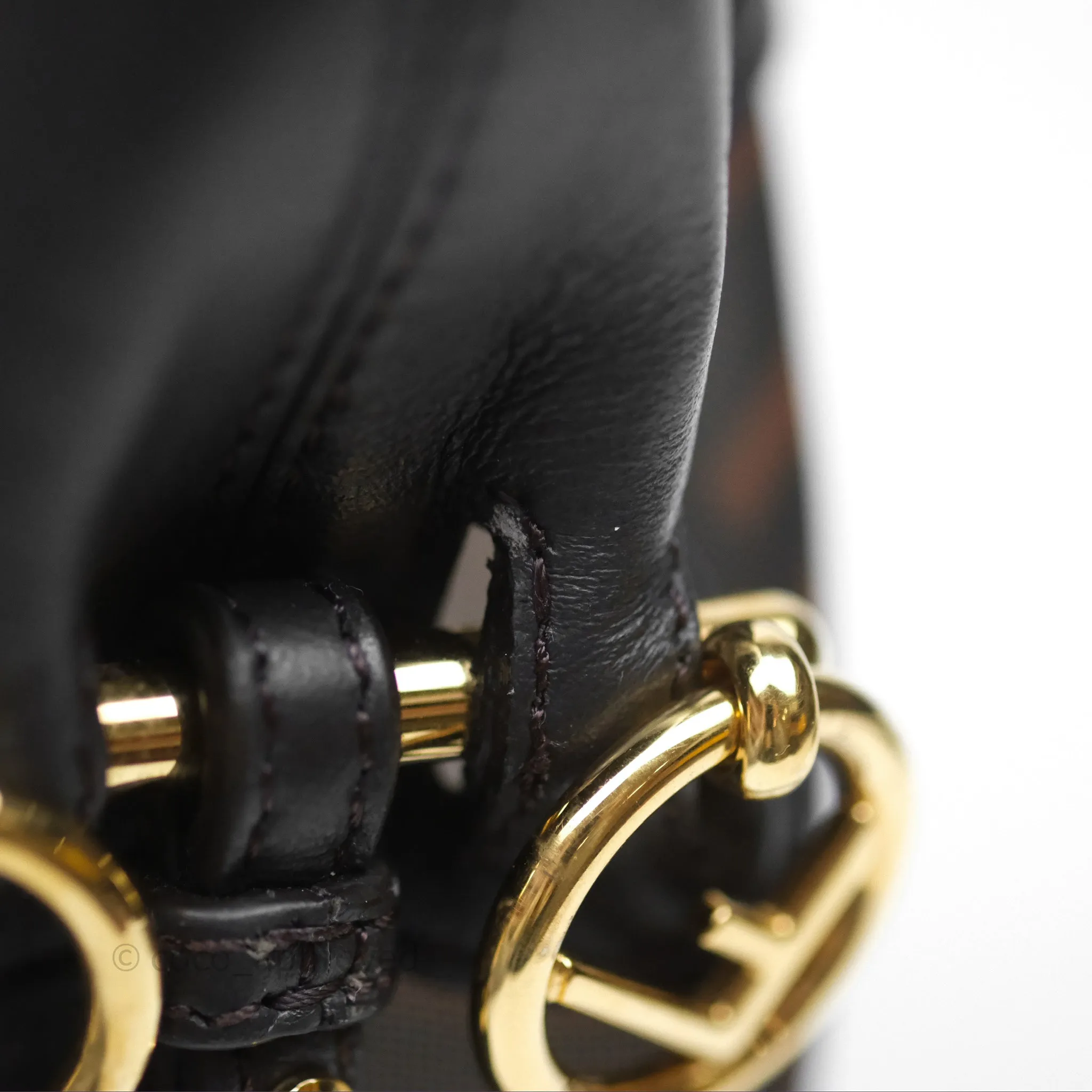 Fendi Mini Mon Tresor Bucket Bag Zucca See Through Mesh Brown/Black/Ebony