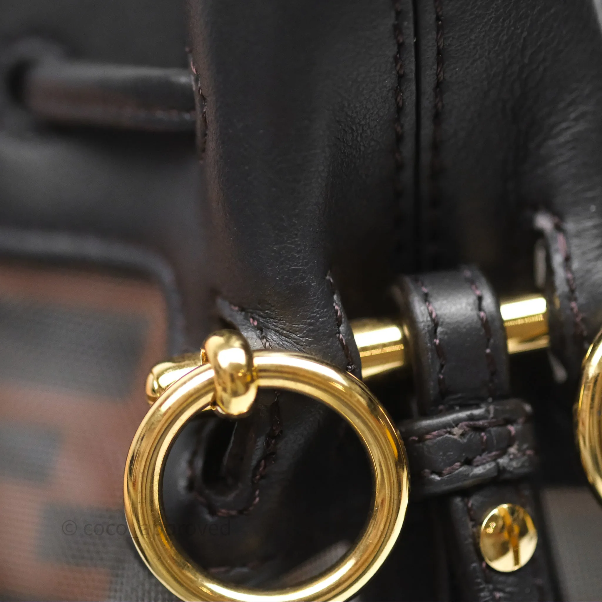 Fendi Mini Mon Tresor Bucket Bag Zucca See Through Mesh Brown/Black/Ebony