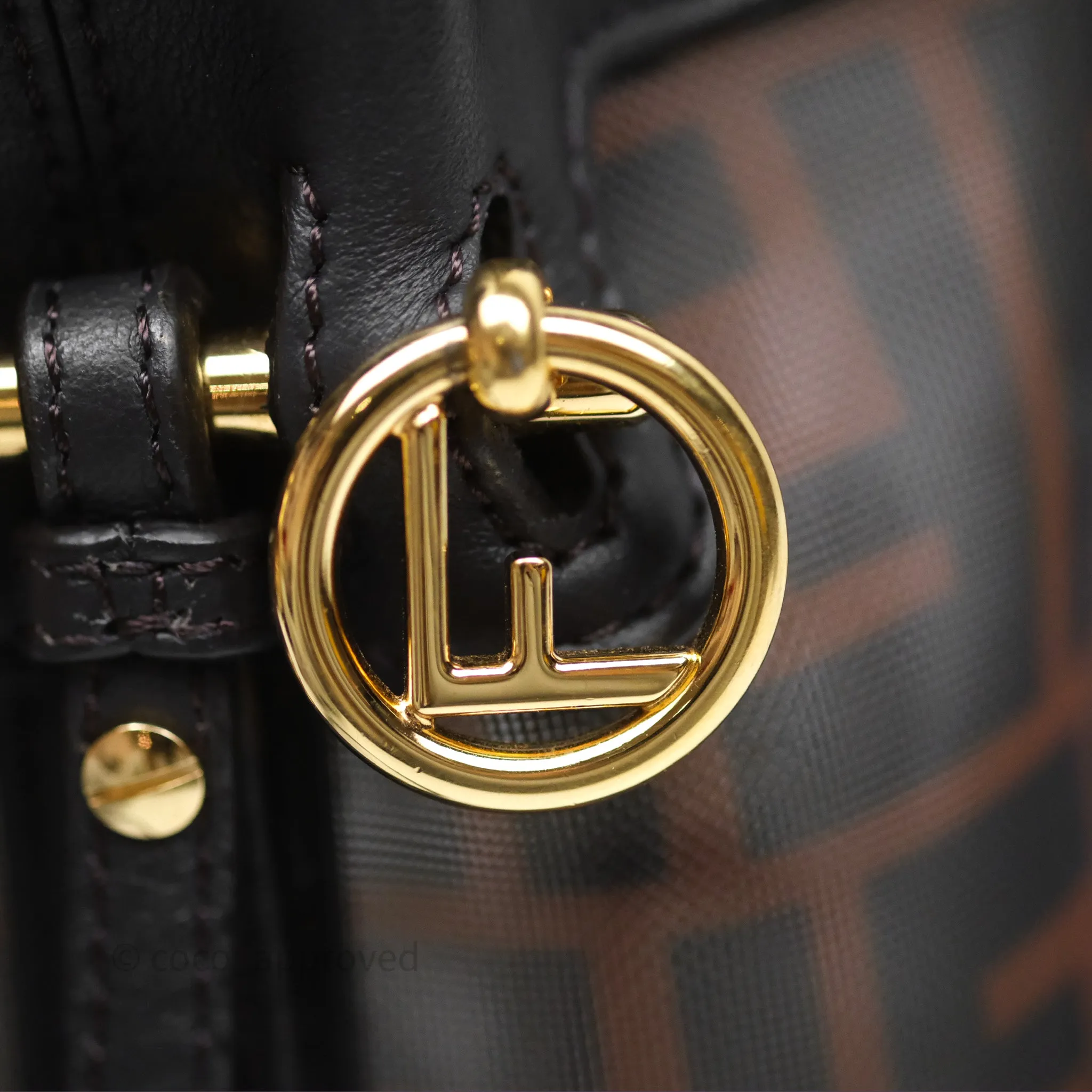 Fendi Mini Mon Tresor Bucket Bag Zucca See Through Mesh Brown/Black/Ebony