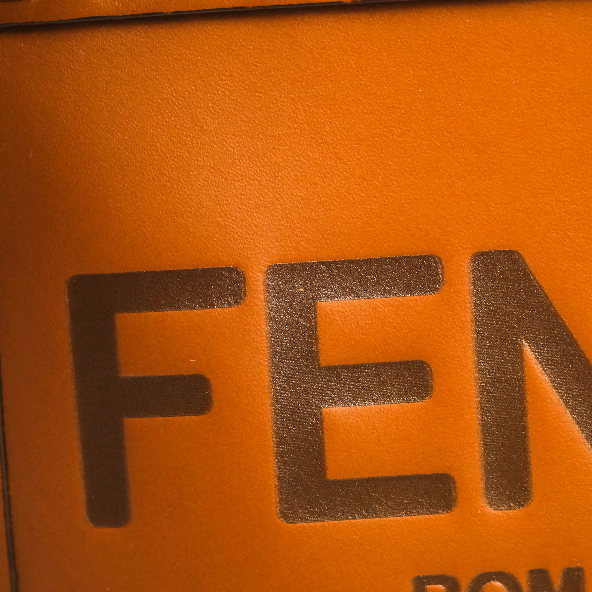 Fendi Mini Sunshine Shopper Bag Brown Tortoiseshell-effect Handle