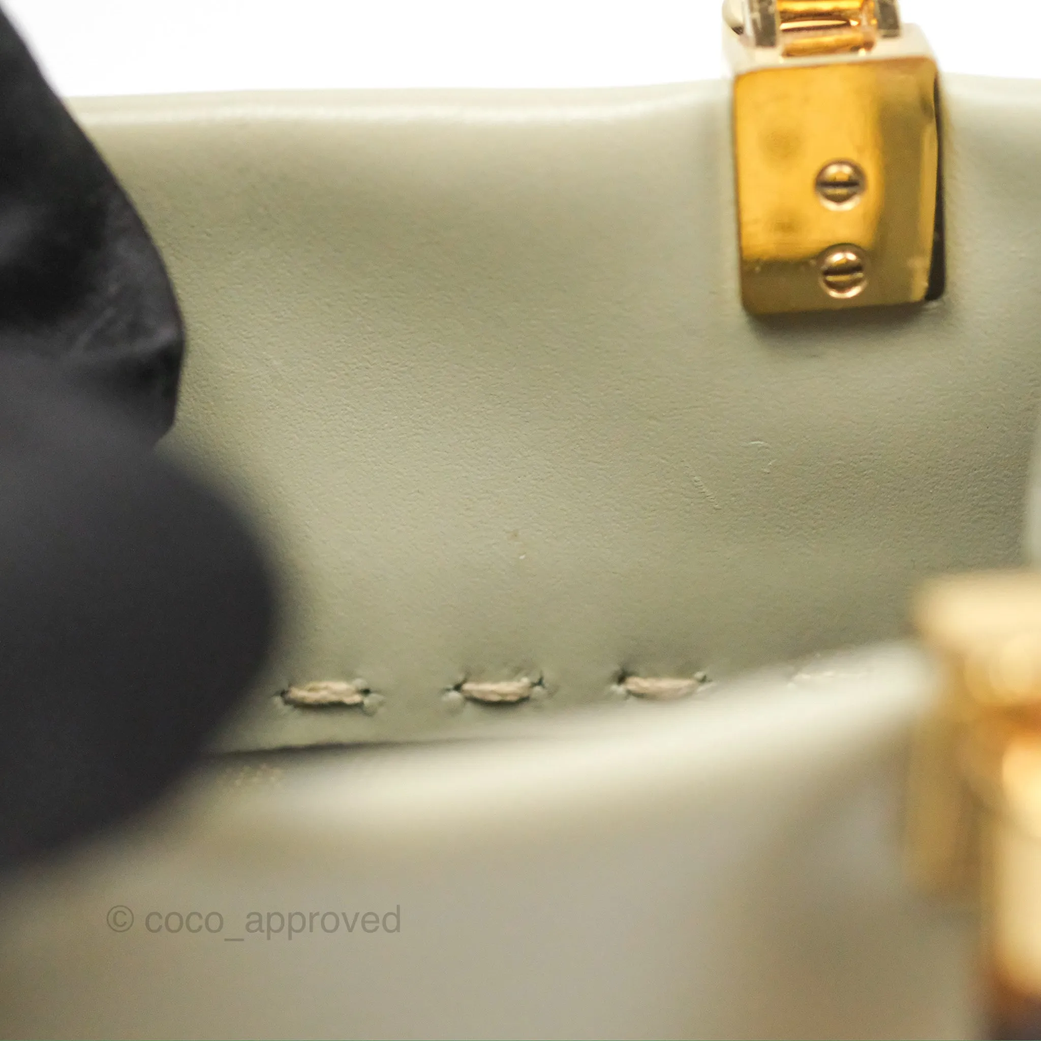 Fendi Mini Sunshine Shopper Bag Green Tea Tortoiseshell-effect Handle