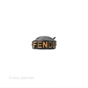 Fendi Nano Fendigraphy Hobo Bag Black Gold Hardware