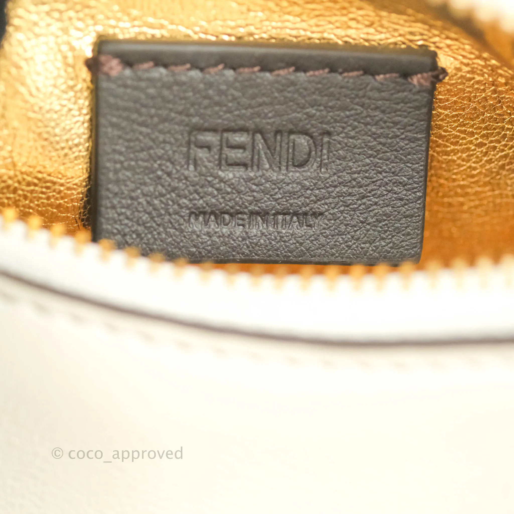 Fendi Nano Fendigraphy Hobo Bag White Gold Hardware With Twilly
