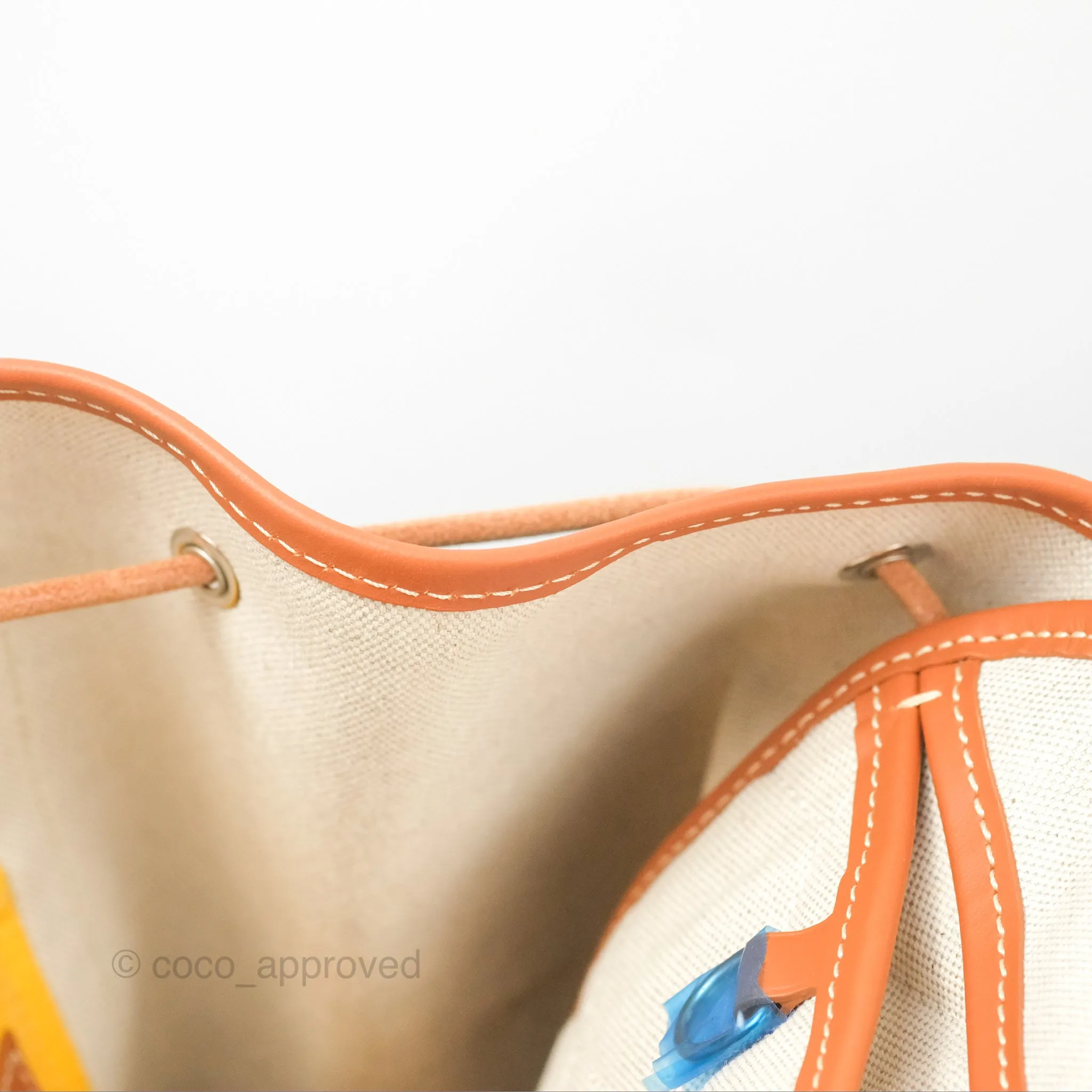 Goyard Alpin MM Backpack Black/ Tan