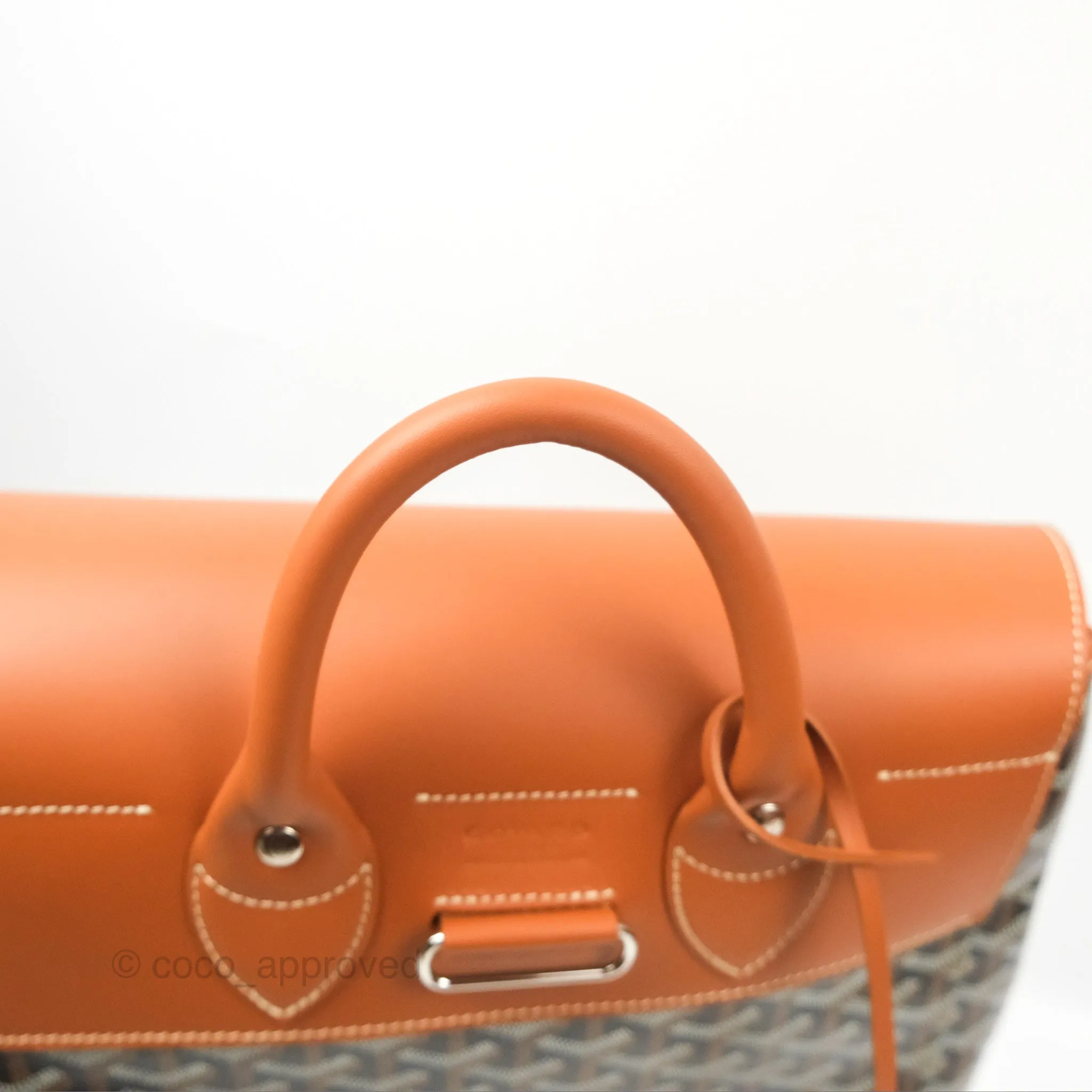 Goyard Alpin MM Backpack Black/ Tan