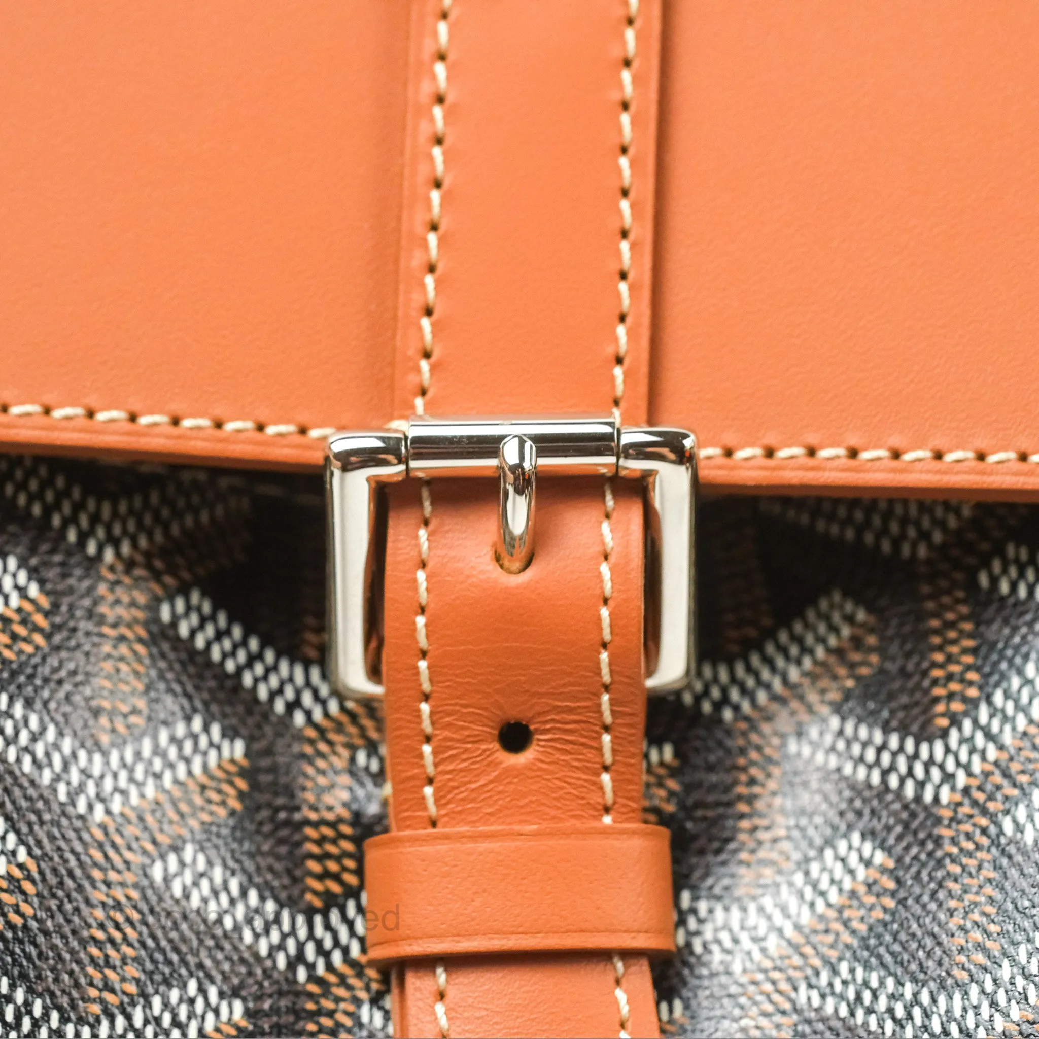 Goyard Alpin MM Backpack Black/ Tan