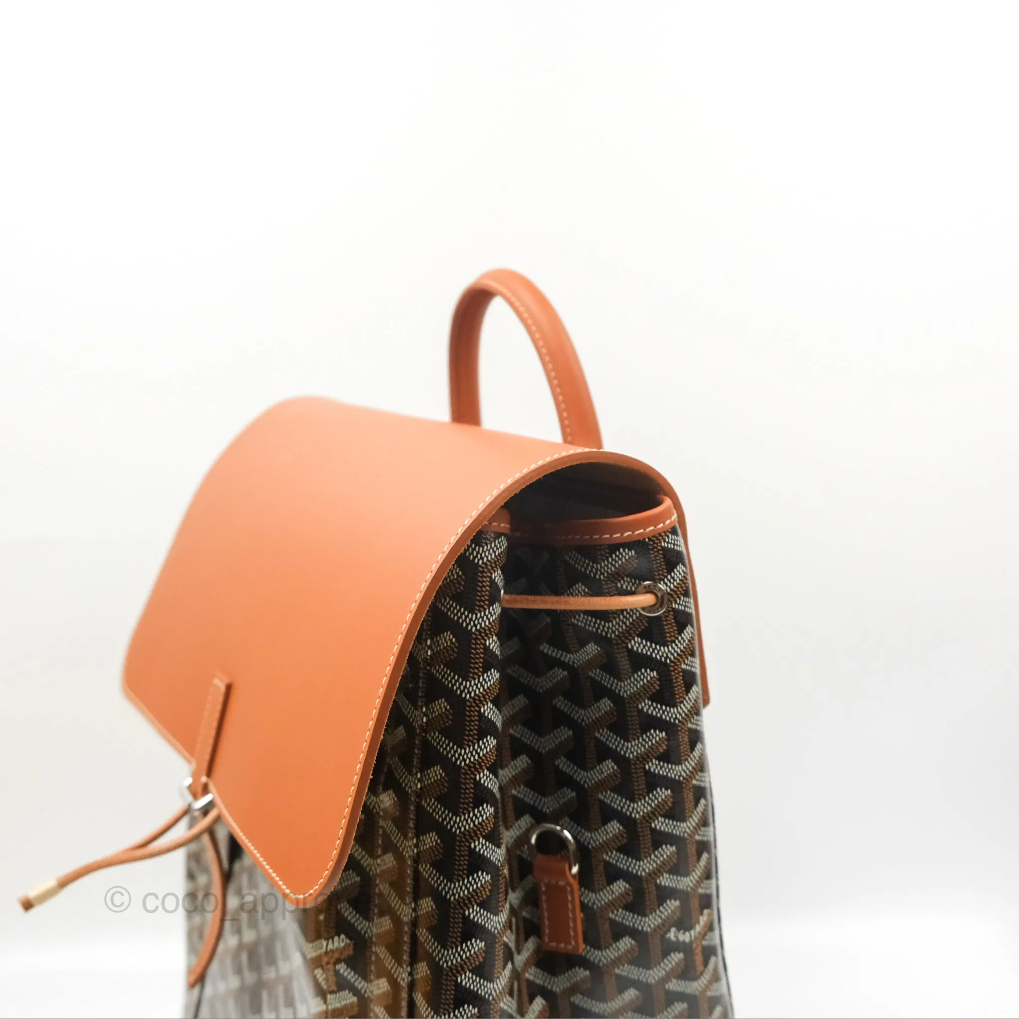 Goyard Alpin MM Backpack Black/ Tan