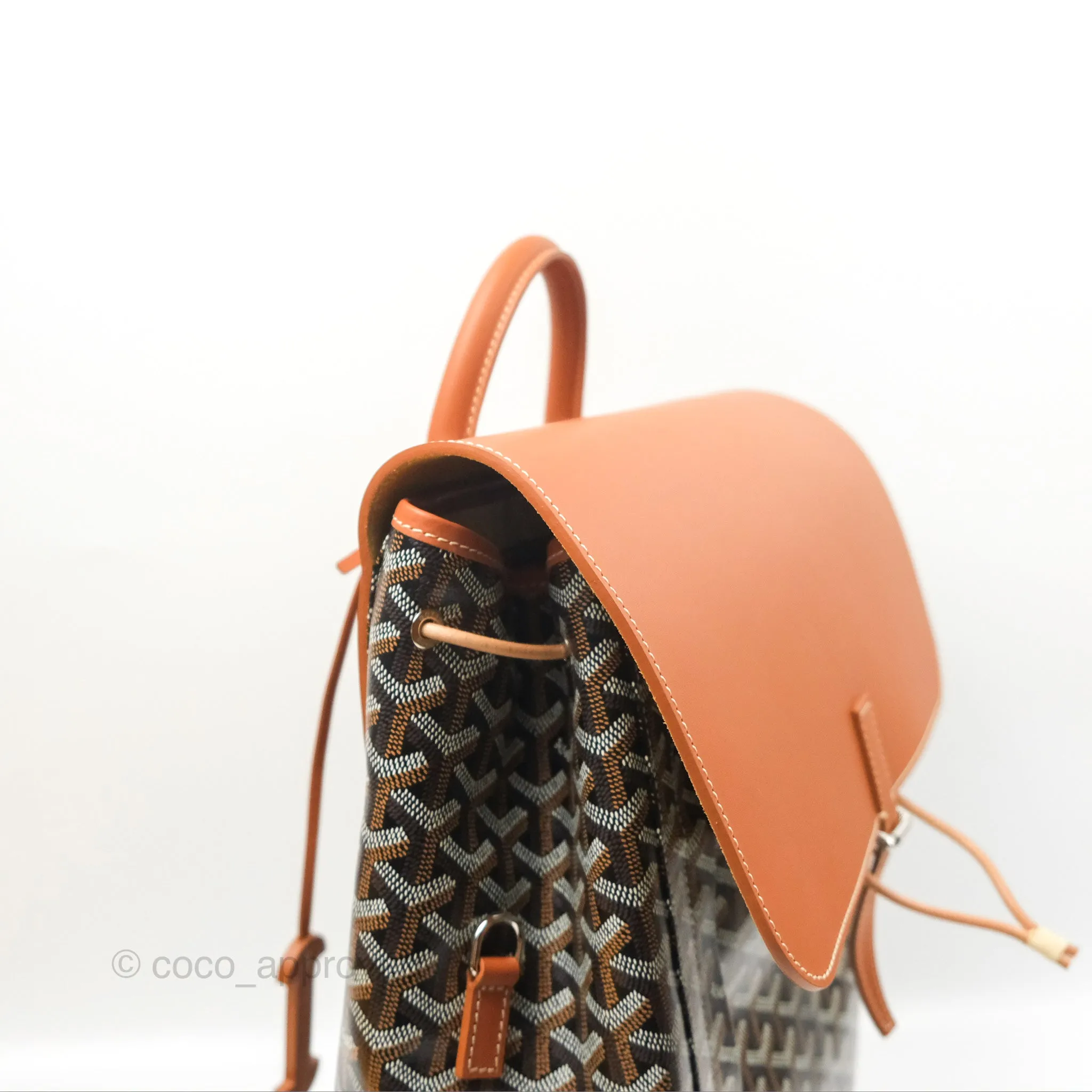Goyard Alpin MM Backpack Black/ Tan