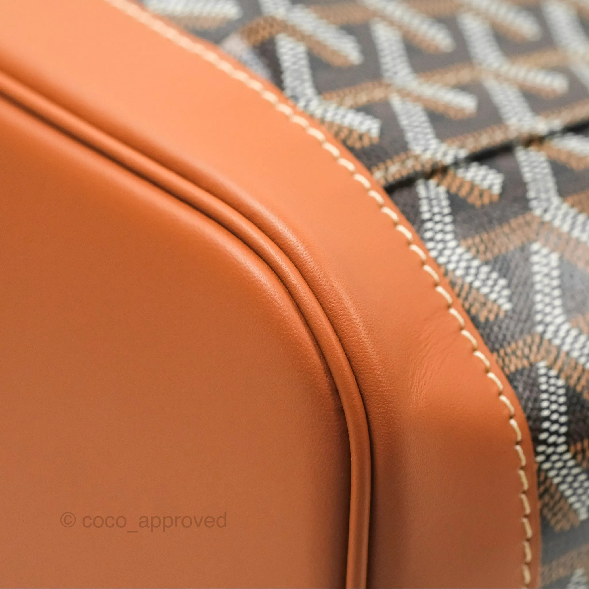 Goyard Alpin MM Backpack Black/ Tan