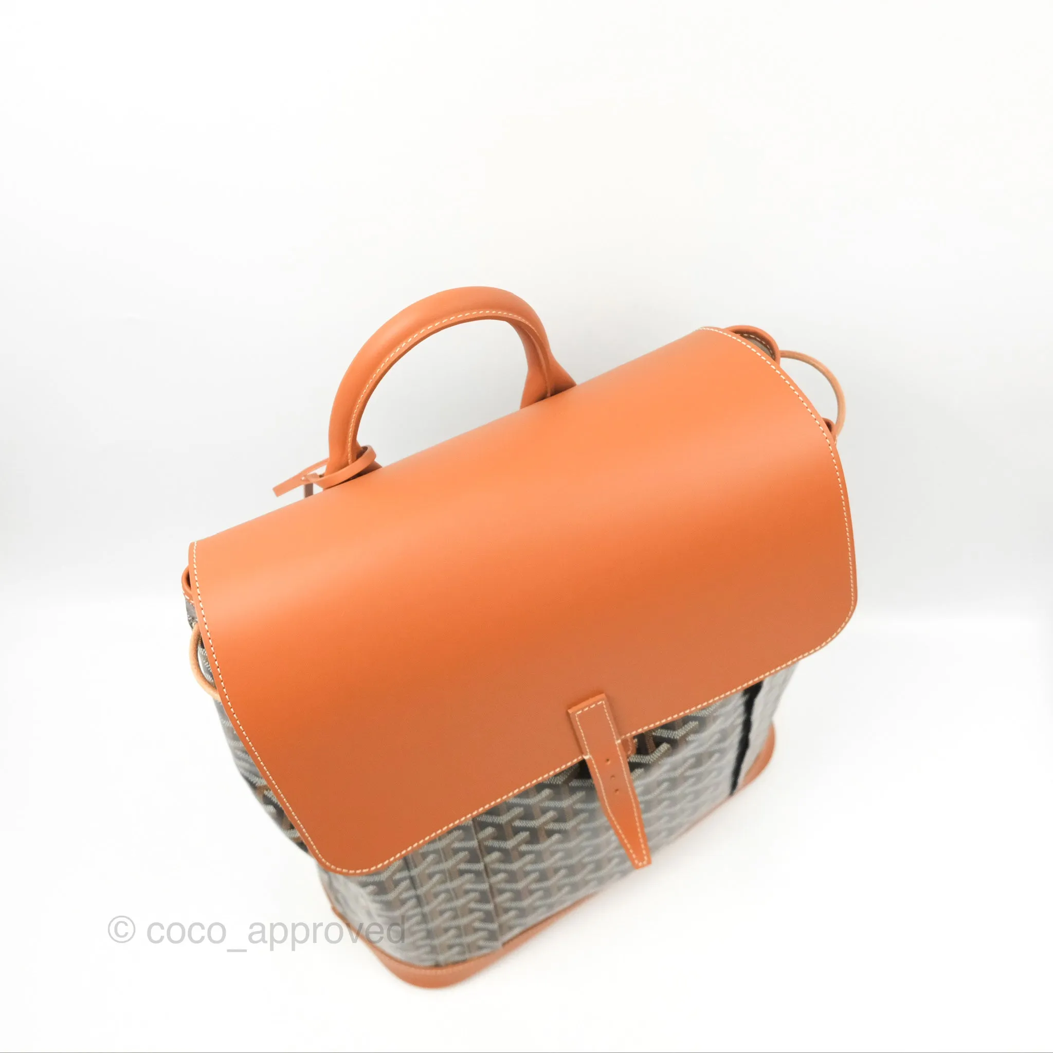 Goyard Alpin MM Backpack Black/ Tan