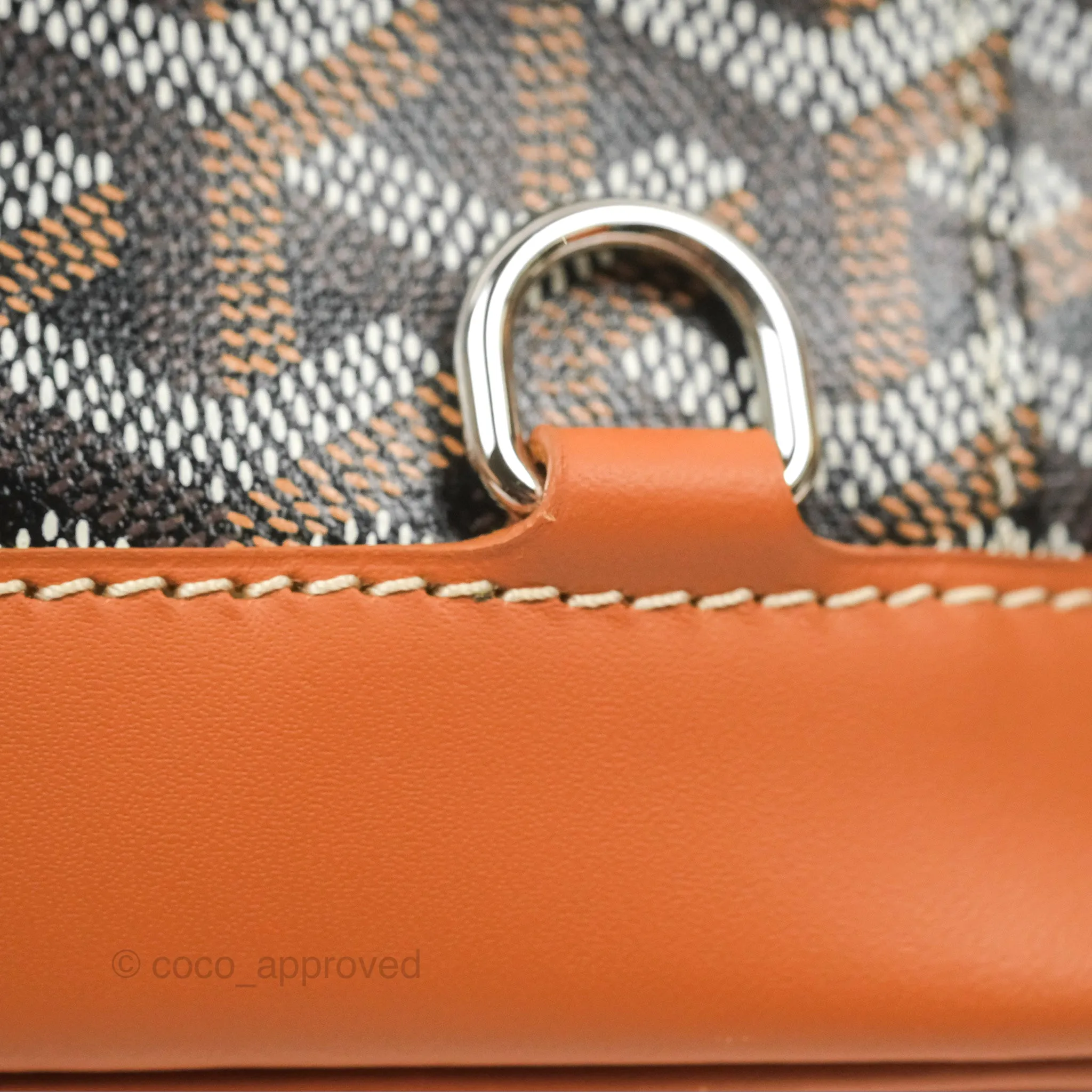Goyard Alpin MM Backpack Black/ Tan