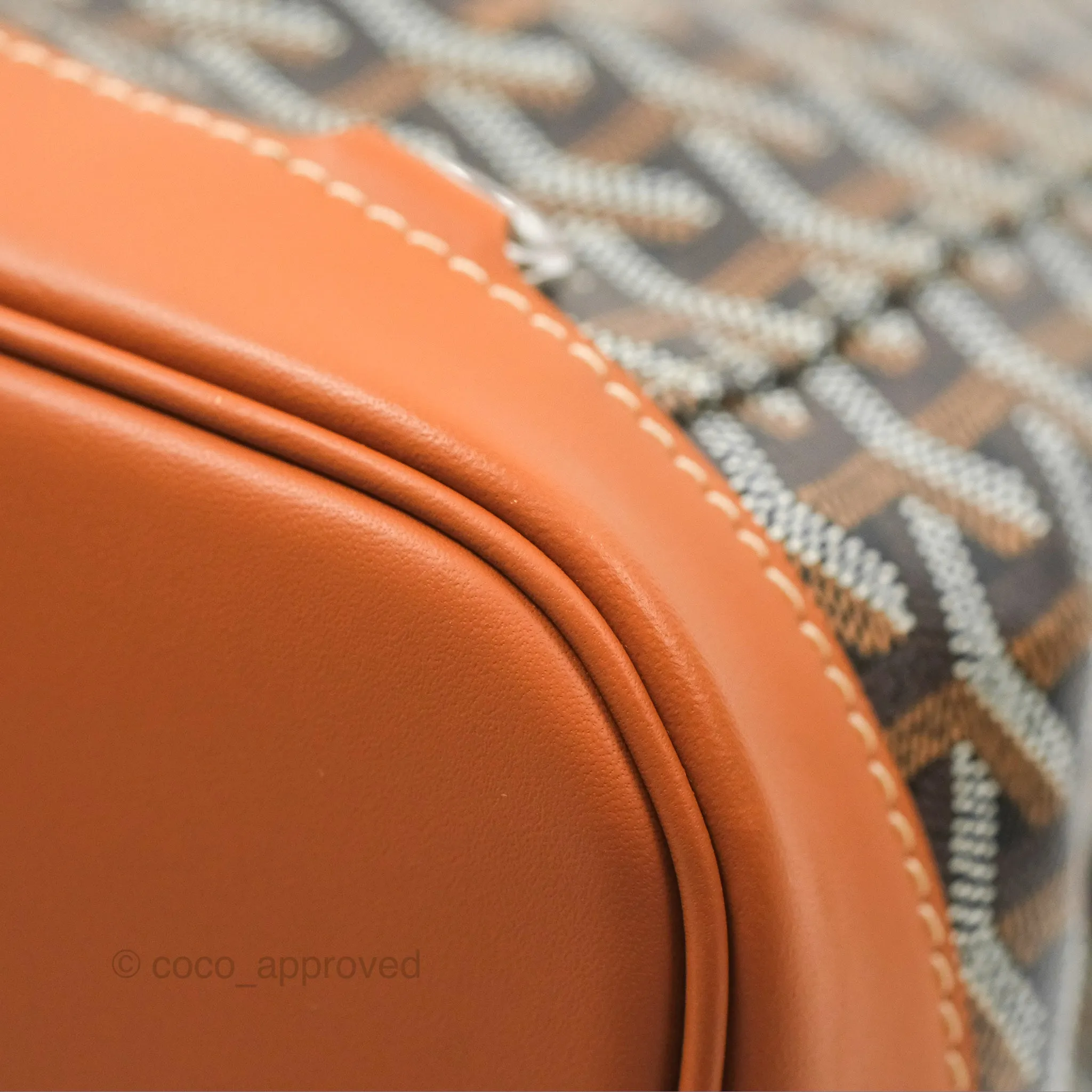Goyard Alpin MM Backpack Black/ Tan