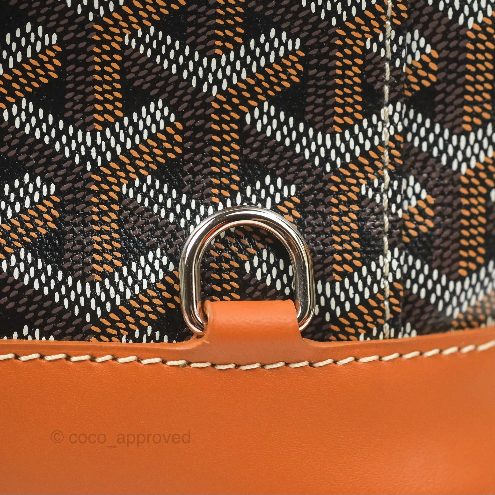 Goyard Alpin MM Backpack Black/ Tan