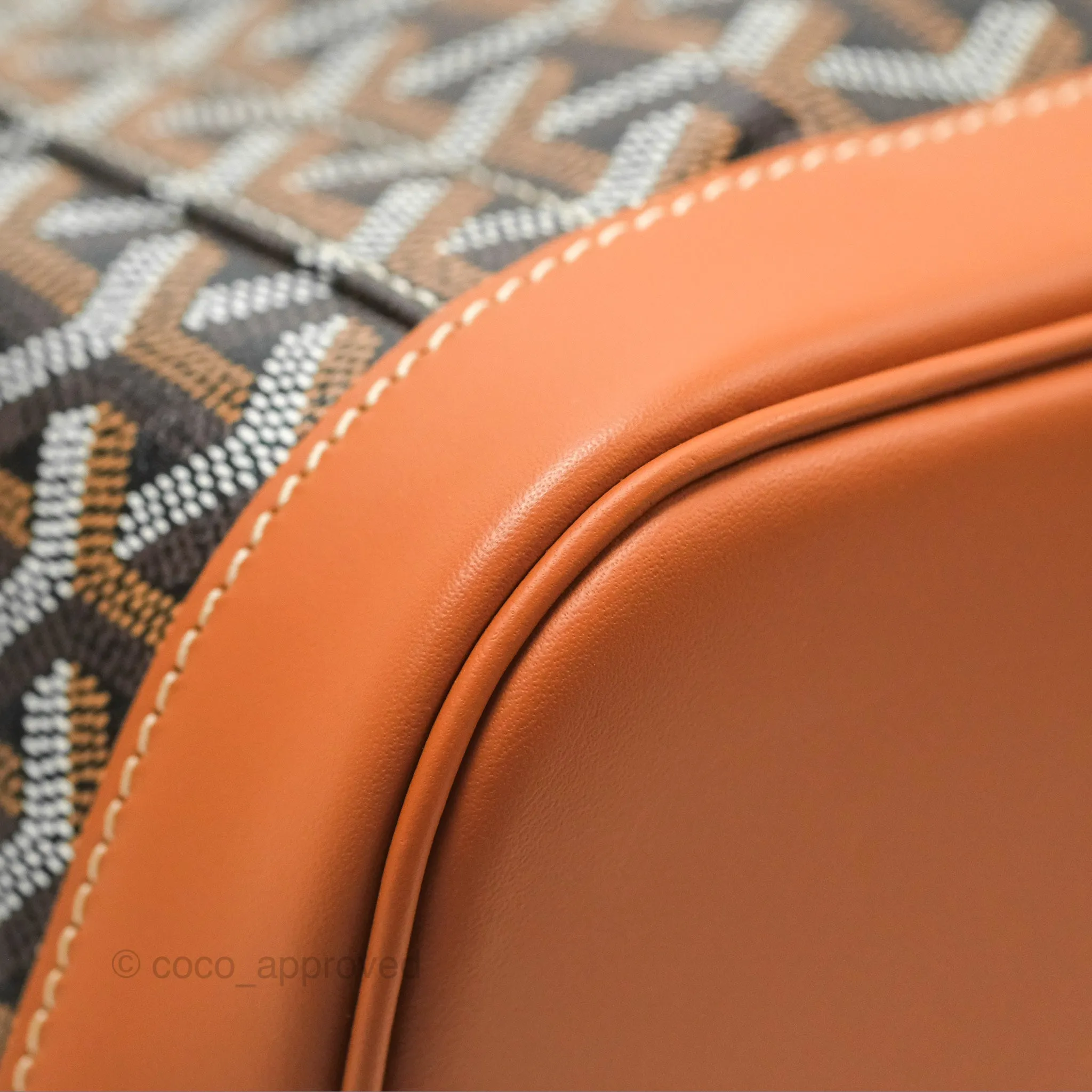Goyard Alpin MM Backpack Black/ Tan