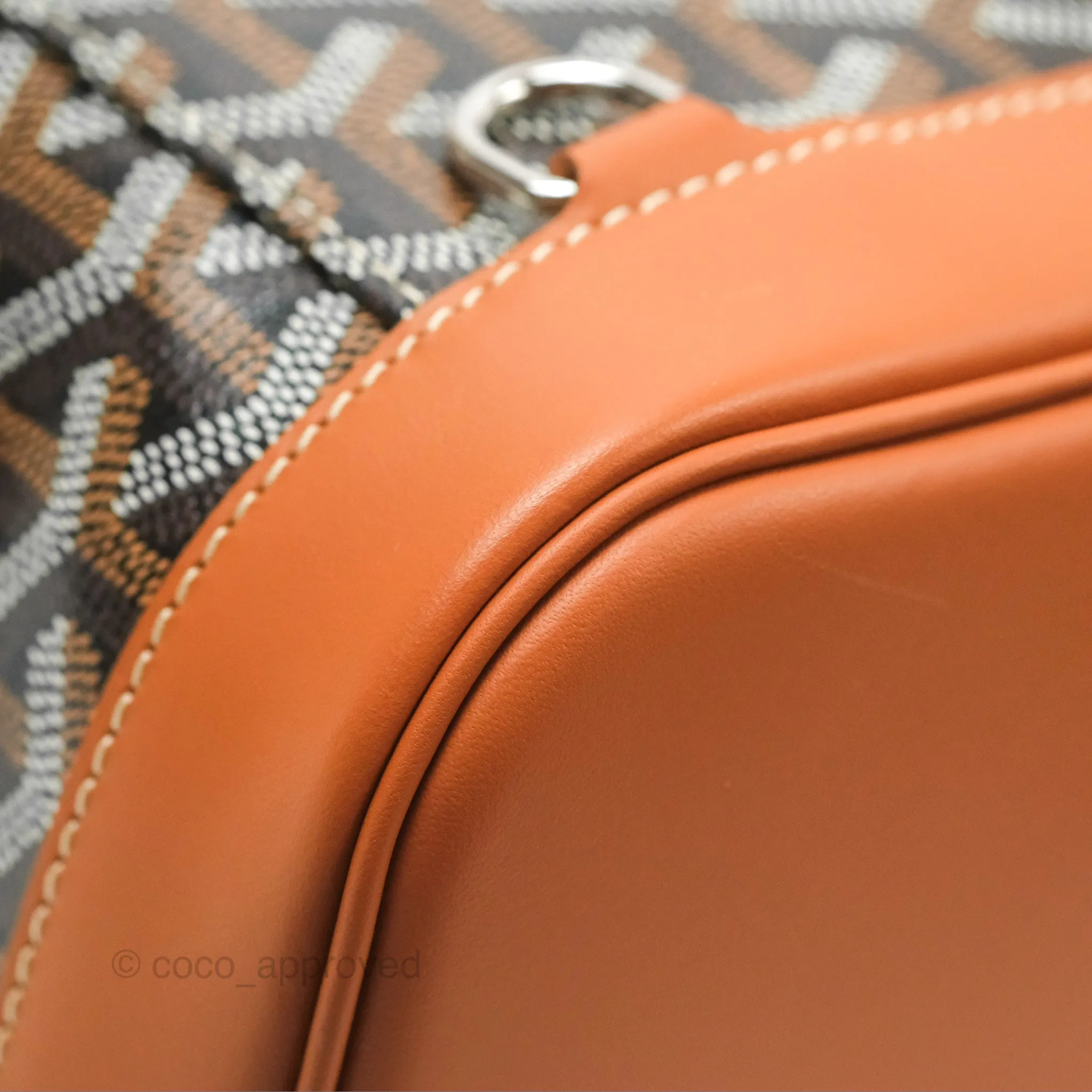Goyard Alpin MM Backpack Black/ Tan