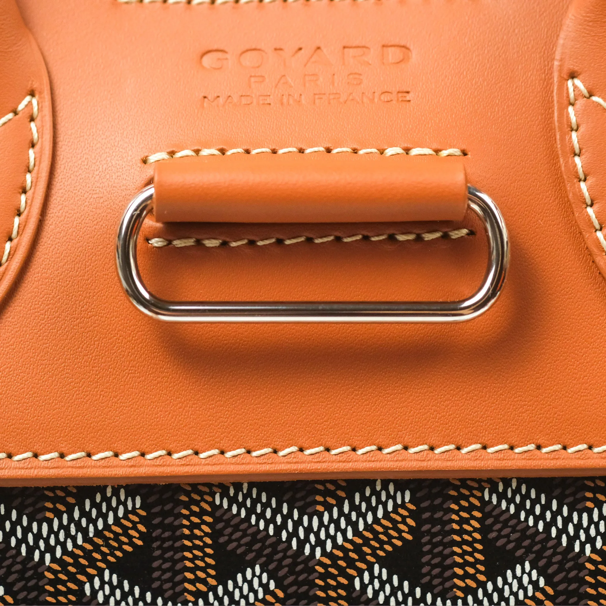 Goyard Alpin MM Backpack Black/ Tan