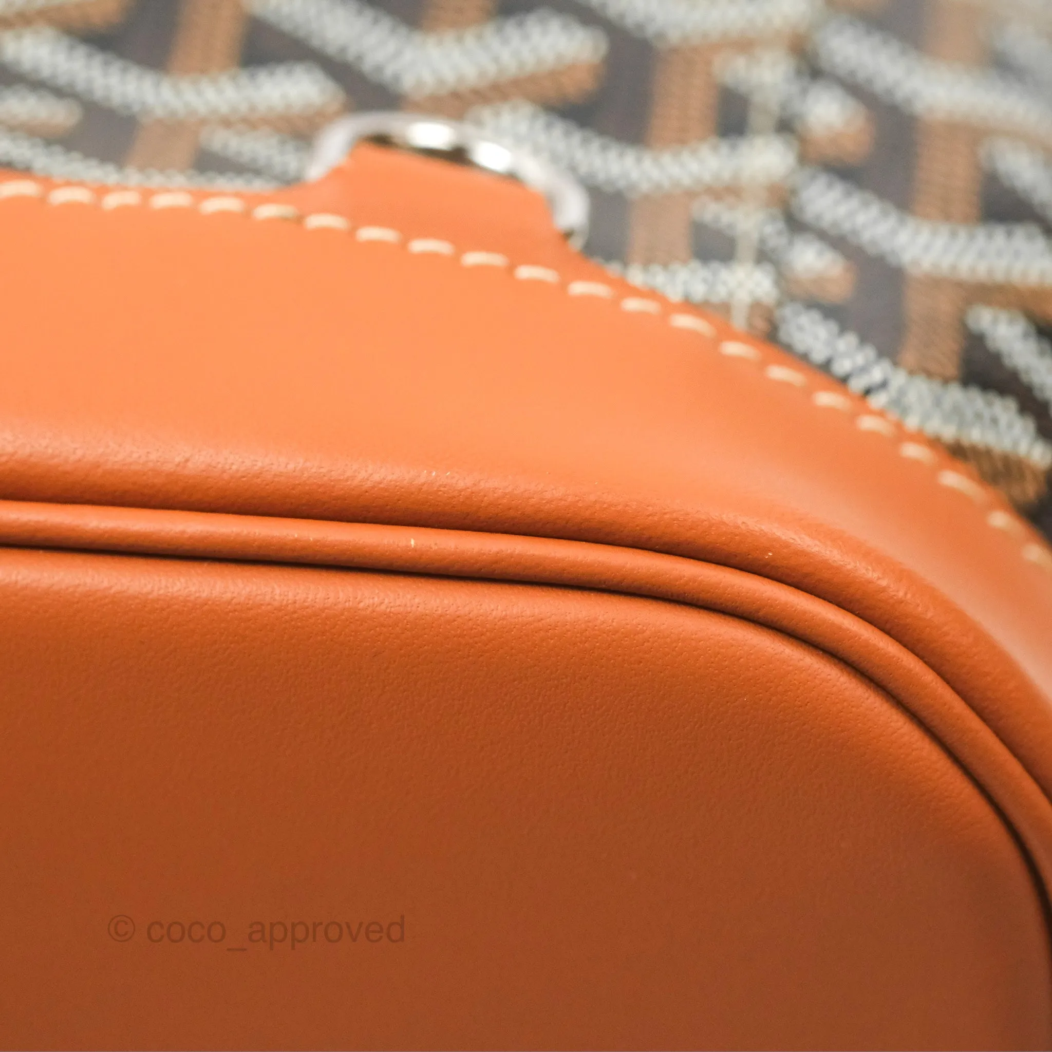 Goyard Alpin MM Backpack Black/ Tan