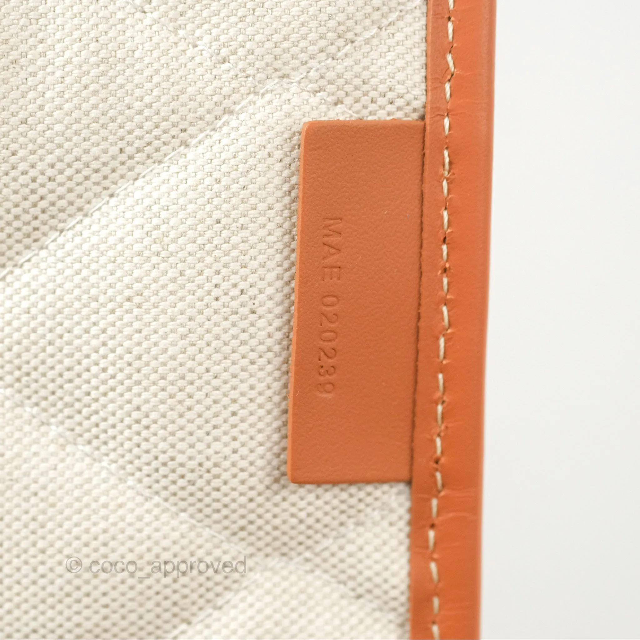 Goyard Alpin MM Backpack Black/ Tan