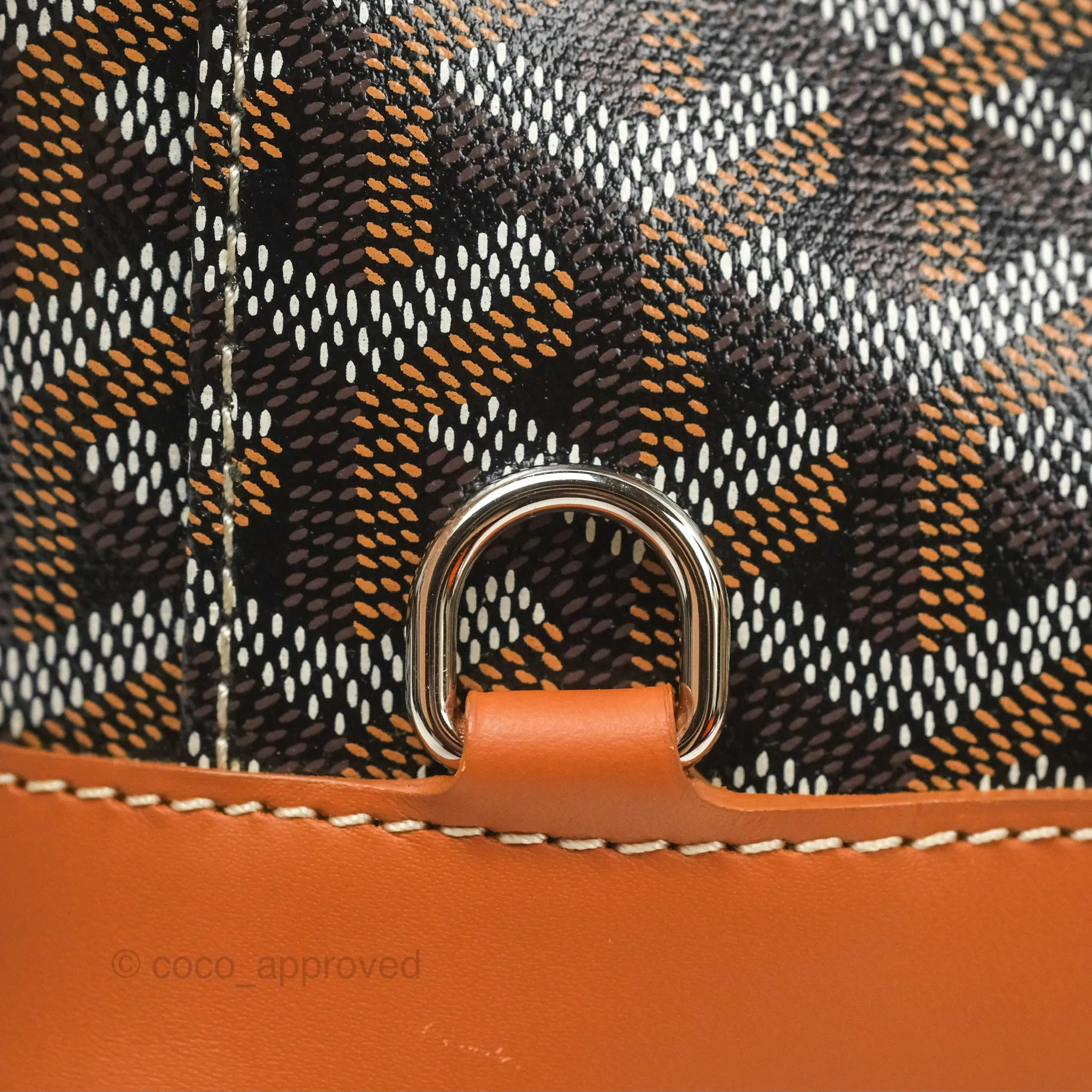 Goyard Alpin MM Backpack Black/ Tan
