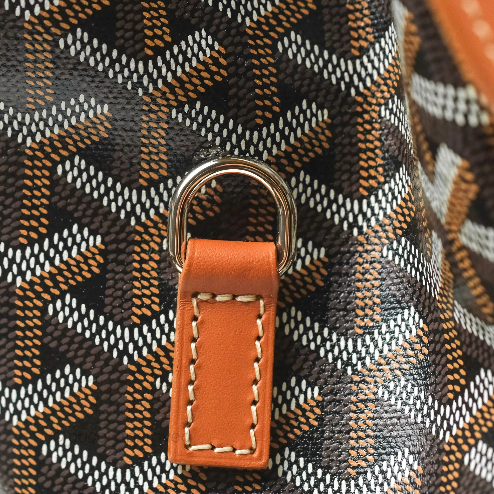 Goyard Alpin MM Backpack Black/ Tan