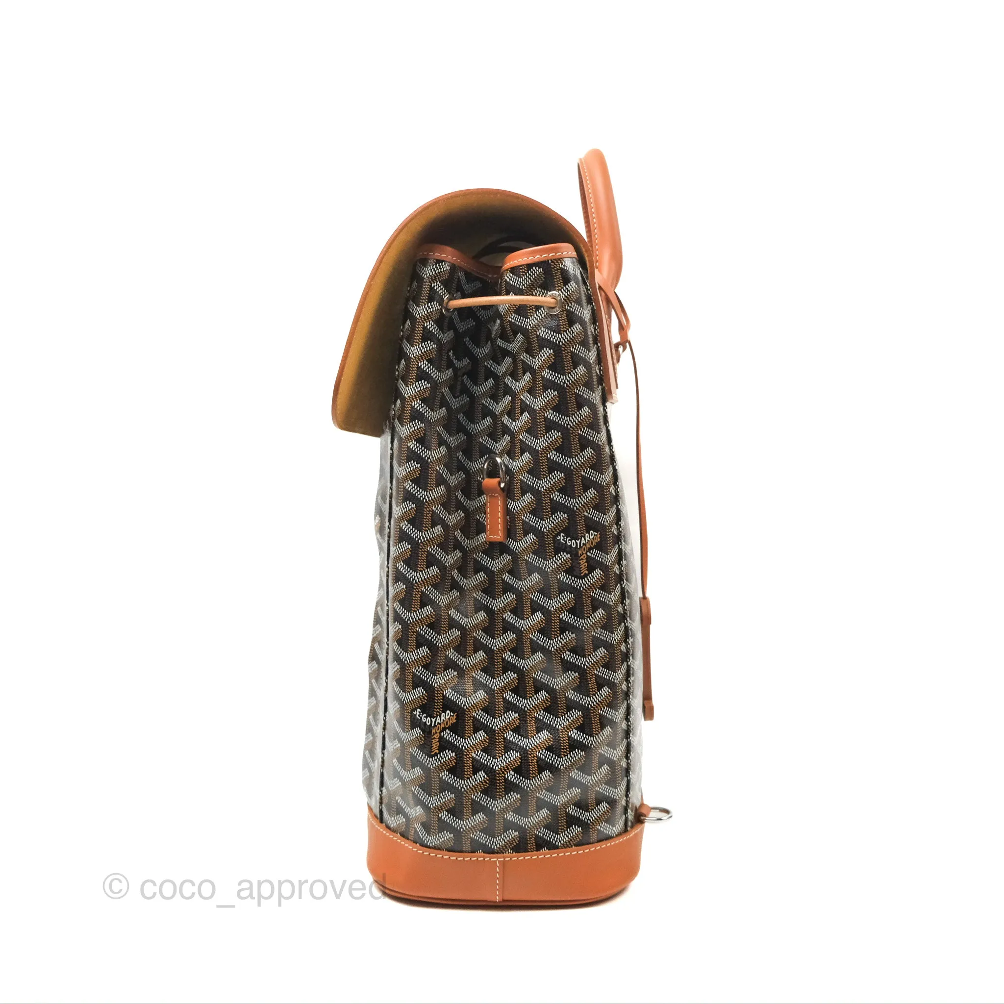 Goyard Alpin MM Backpack Black/ Tan