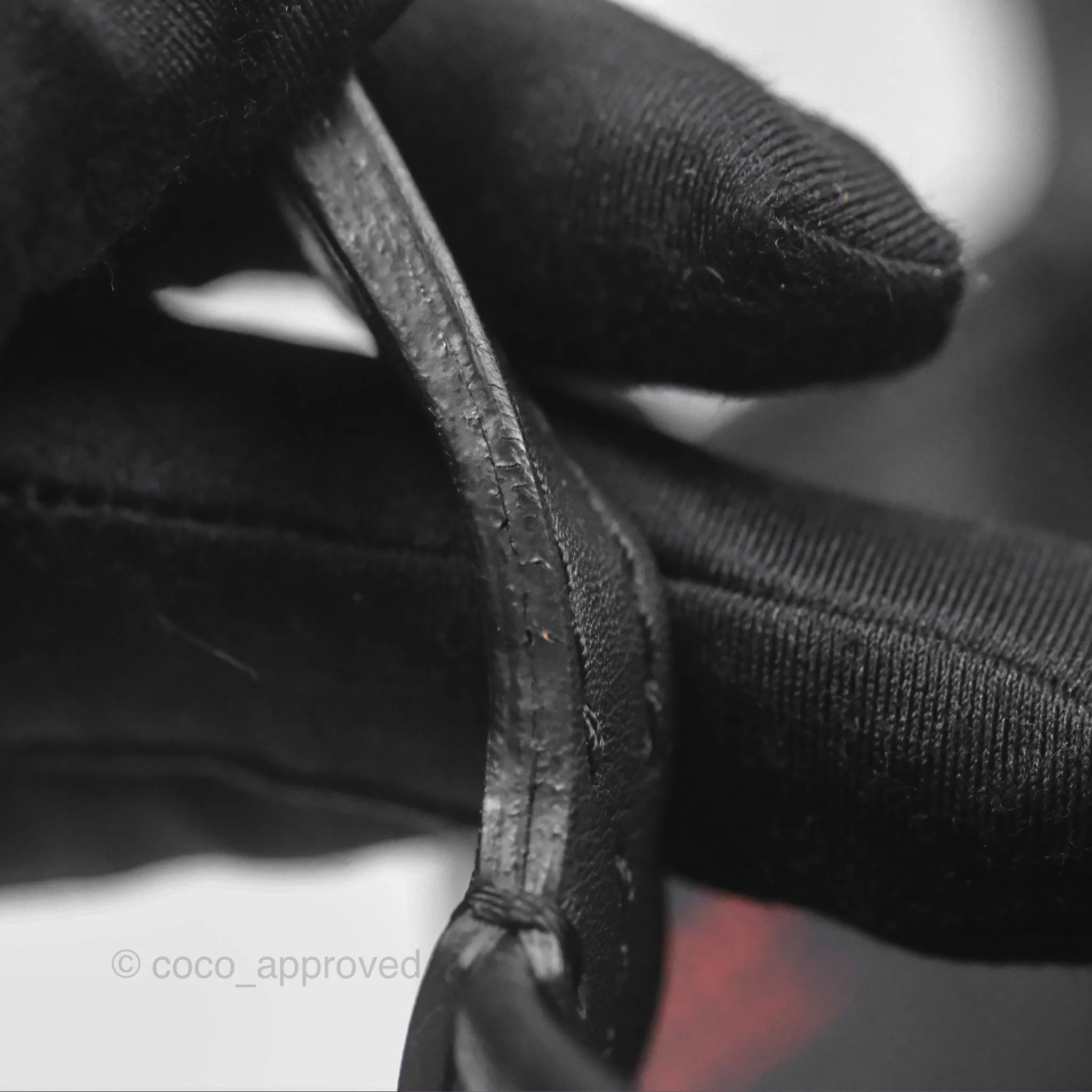Goyard Anjou Mini Bag Goyardine Canvas Black