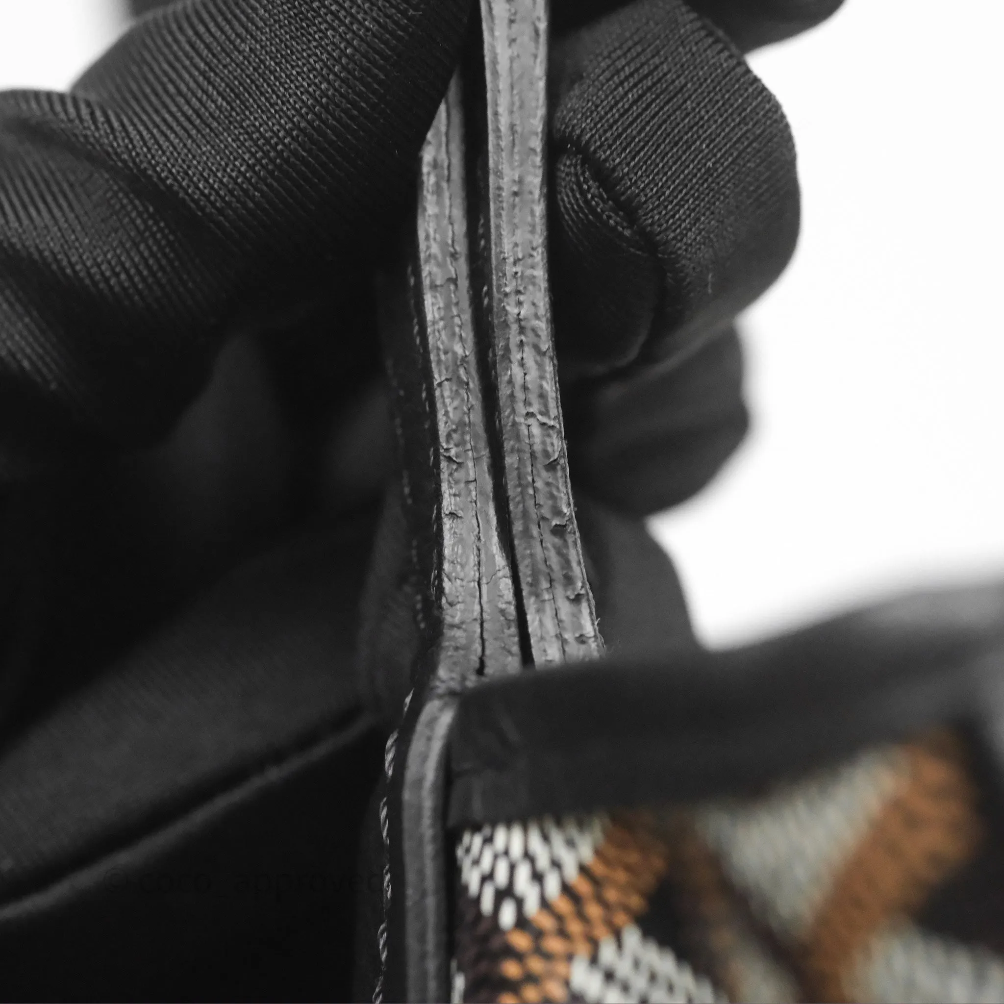 Goyard Anjou Mini Bag Goyardine Canvas Black