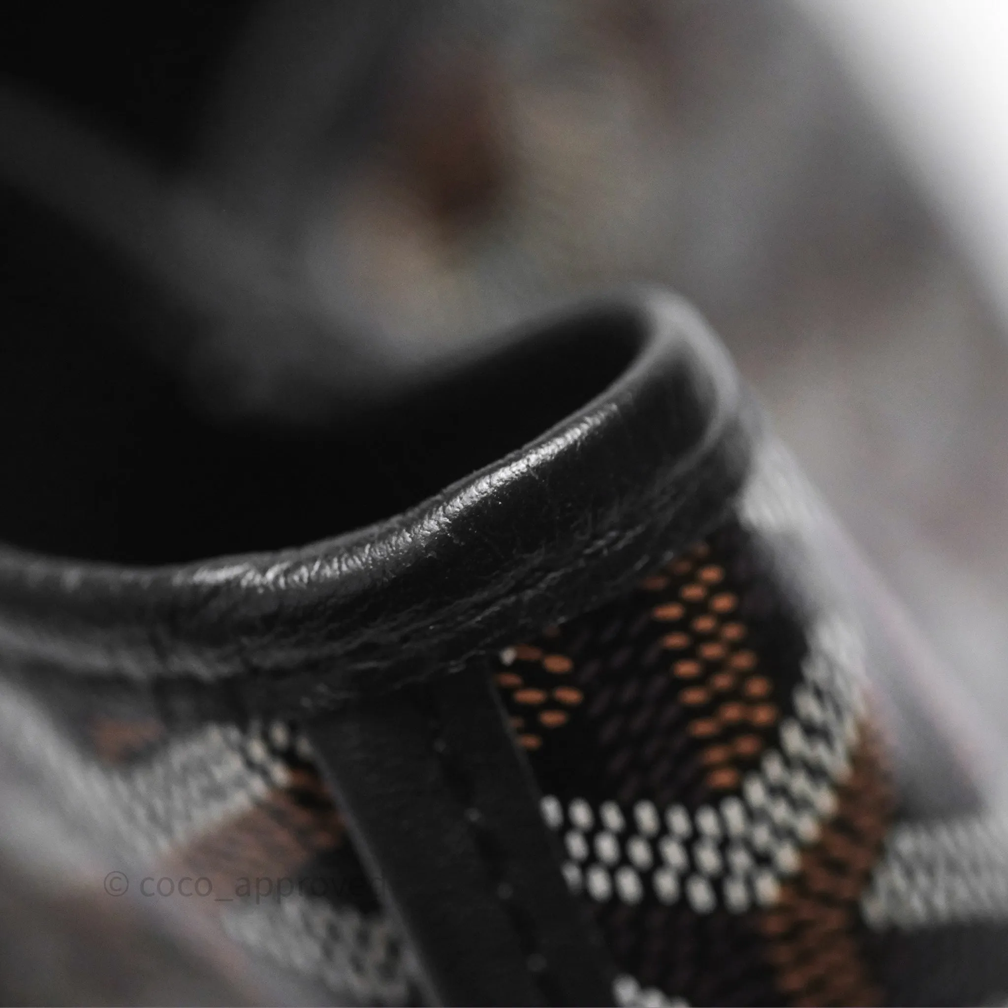 Goyard Anjou Mini Bag Goyardine Canvas Black