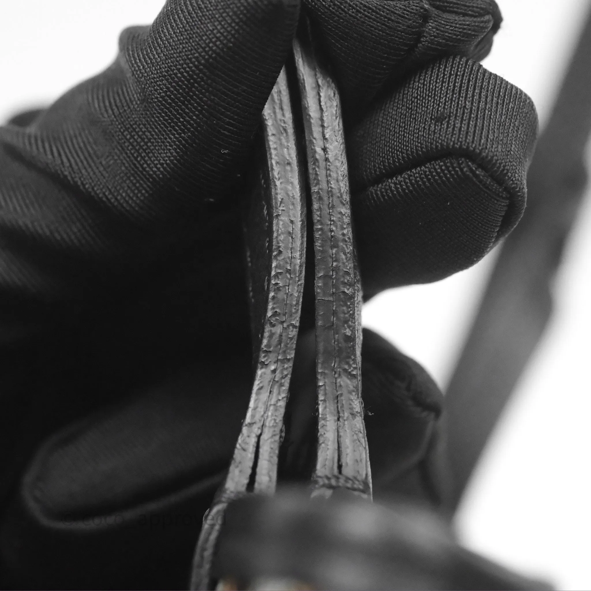 Goyard Anjou Mini Bag Goyardine Canvas Black