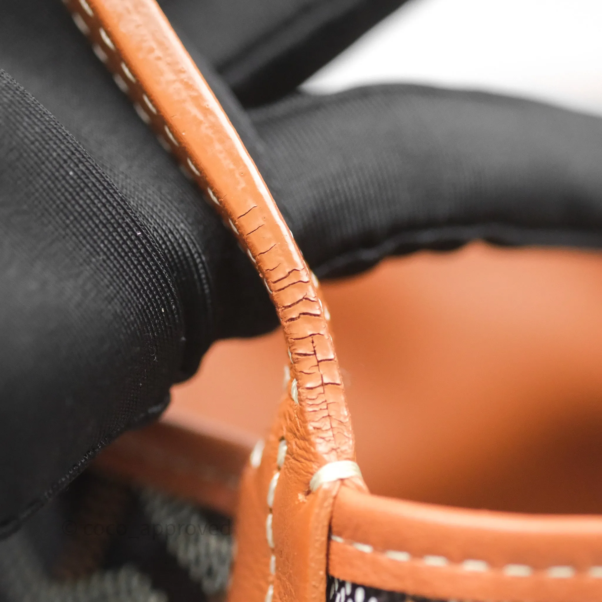 Goyard Anjou Mini Bag Goyardine Canvas Black/Tan