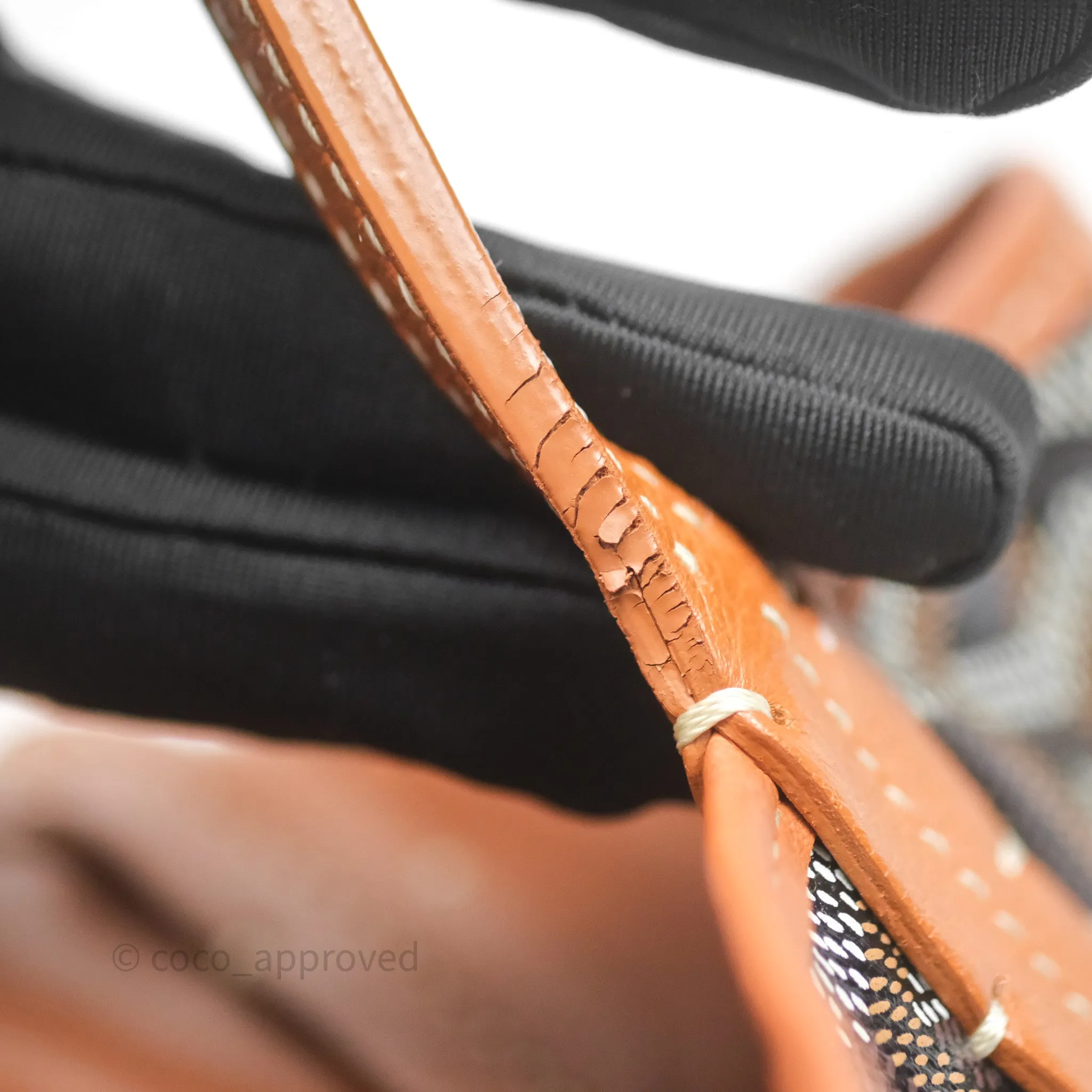 Goyard Anjou Mini Bag Goyardine Canvas Black/Tan
