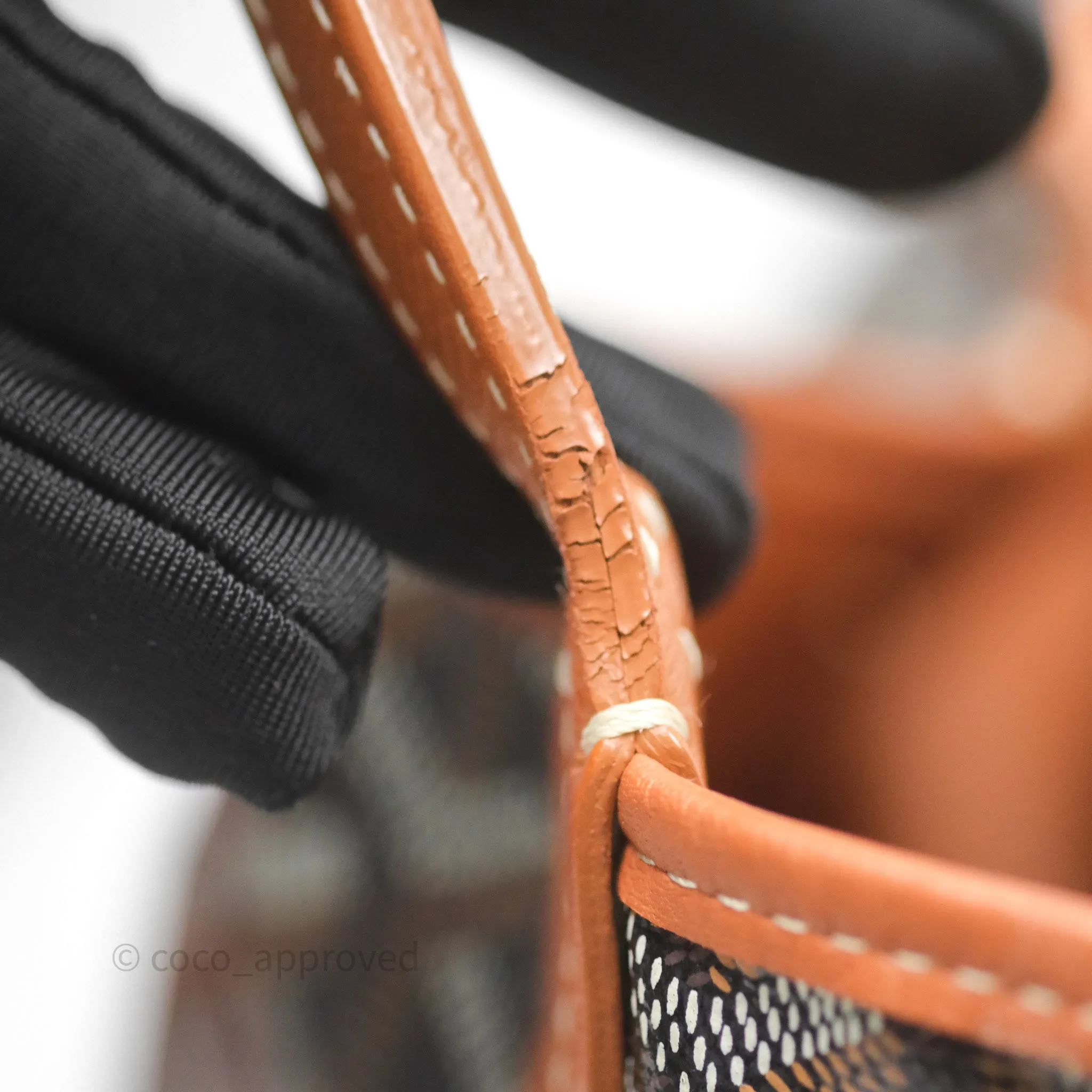 Goyard Anjou Mini Bag Goyardine Canvas Black/Tan