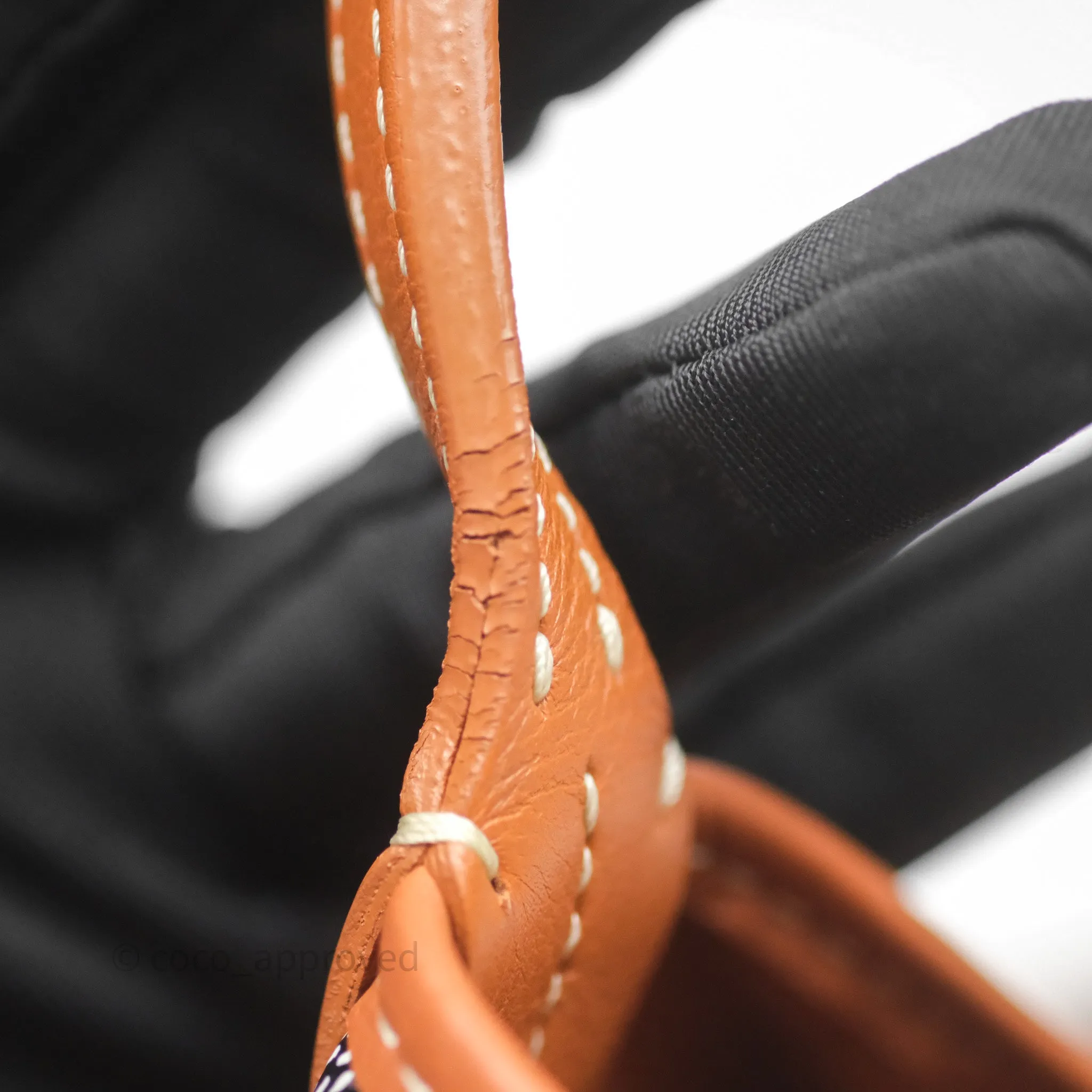 Goyard Anjou Mini Bag Goyardine Canvas Black/Tan
